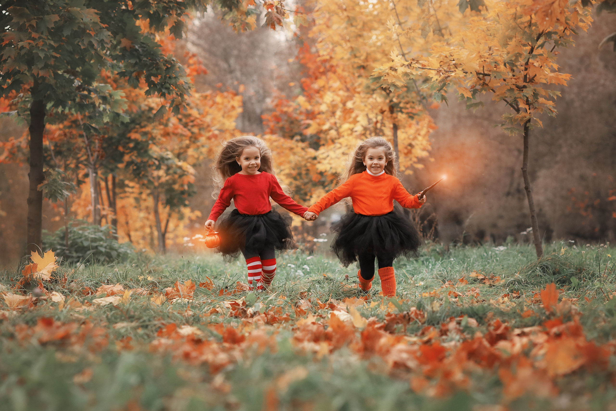 съемка в осеннем лесу кленовая аллея