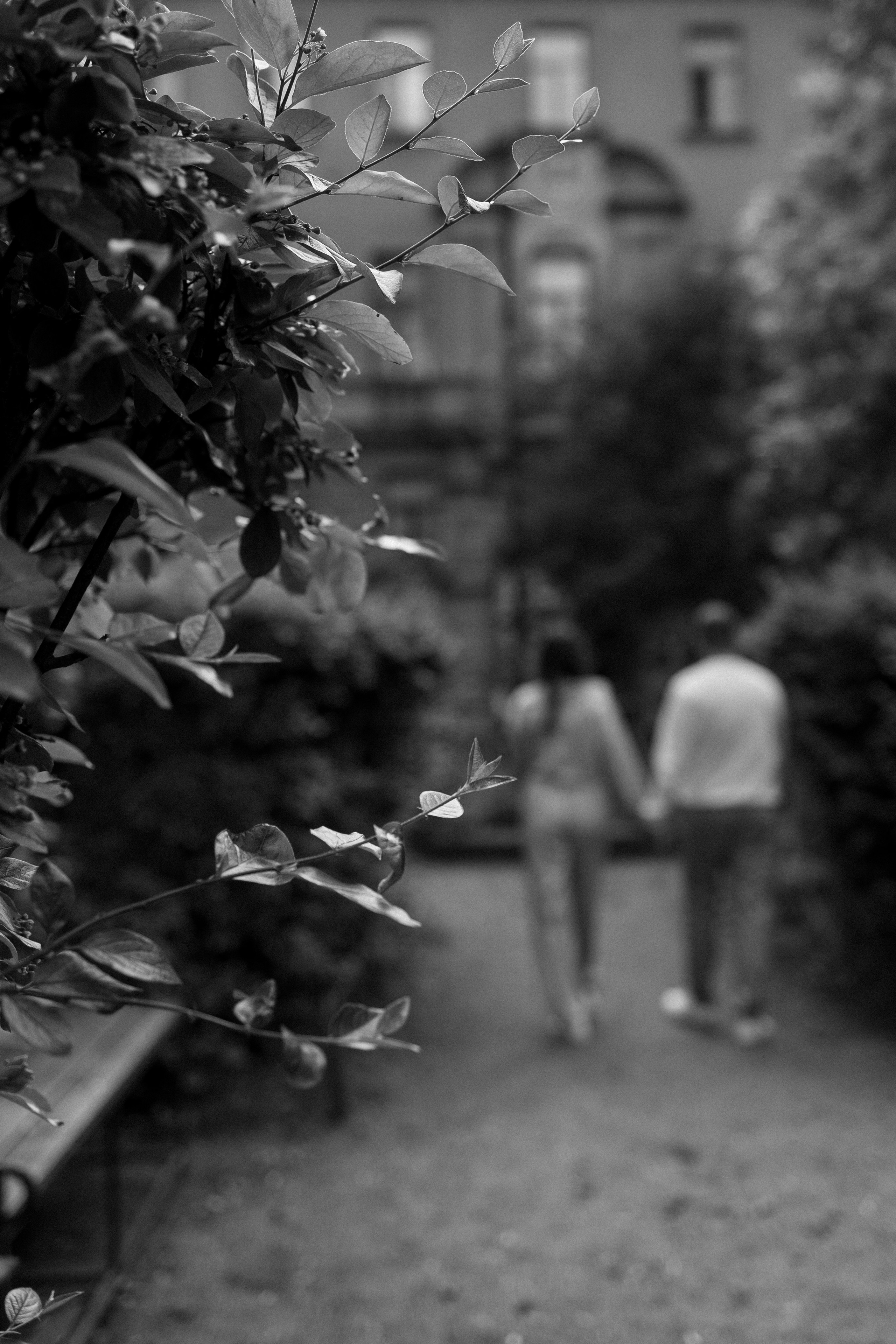 Прогулочные. Фотограф в Санкт-Петербурге Шевченко Наталья