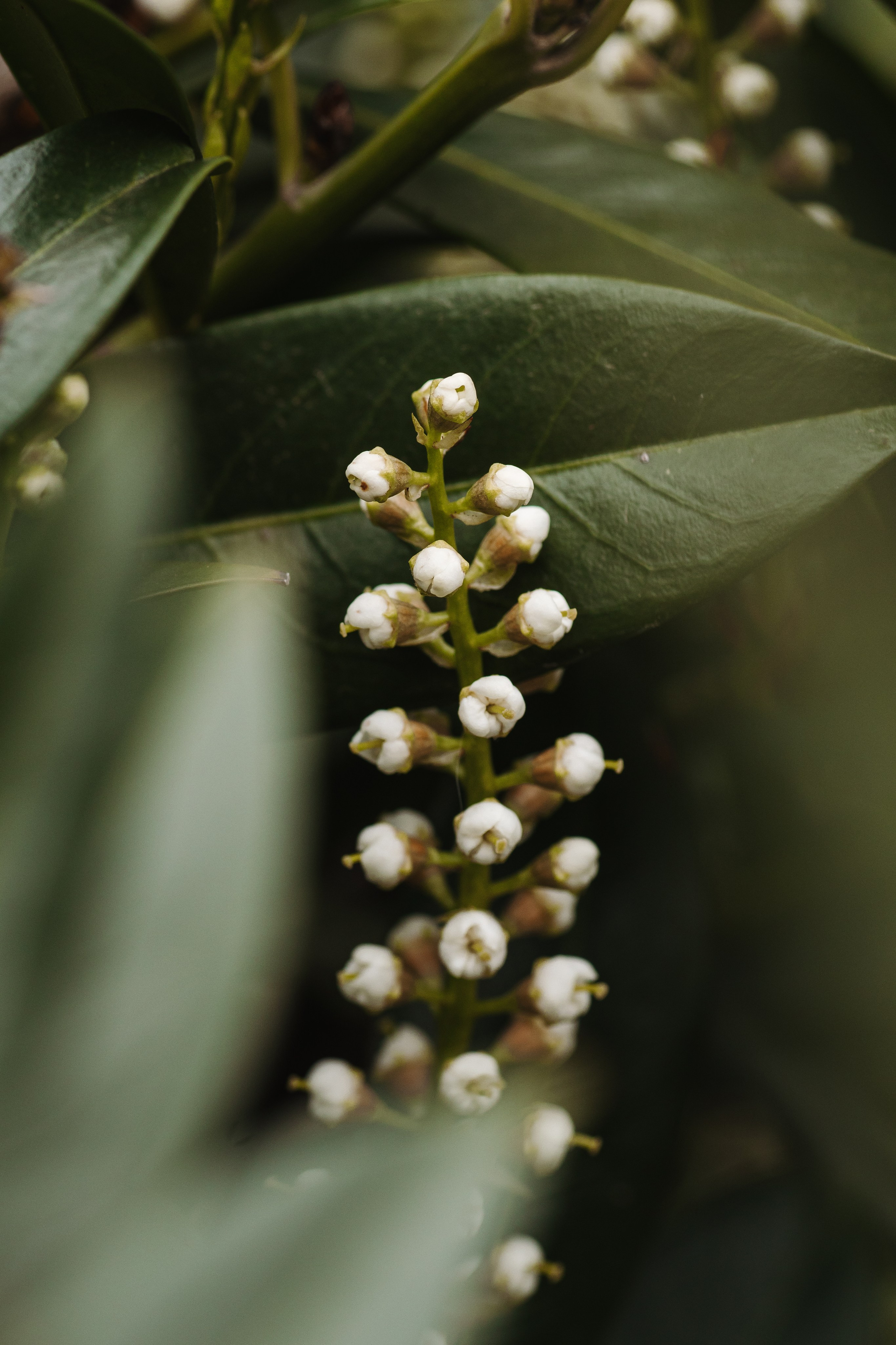 Macro. Фотограф на Юге России