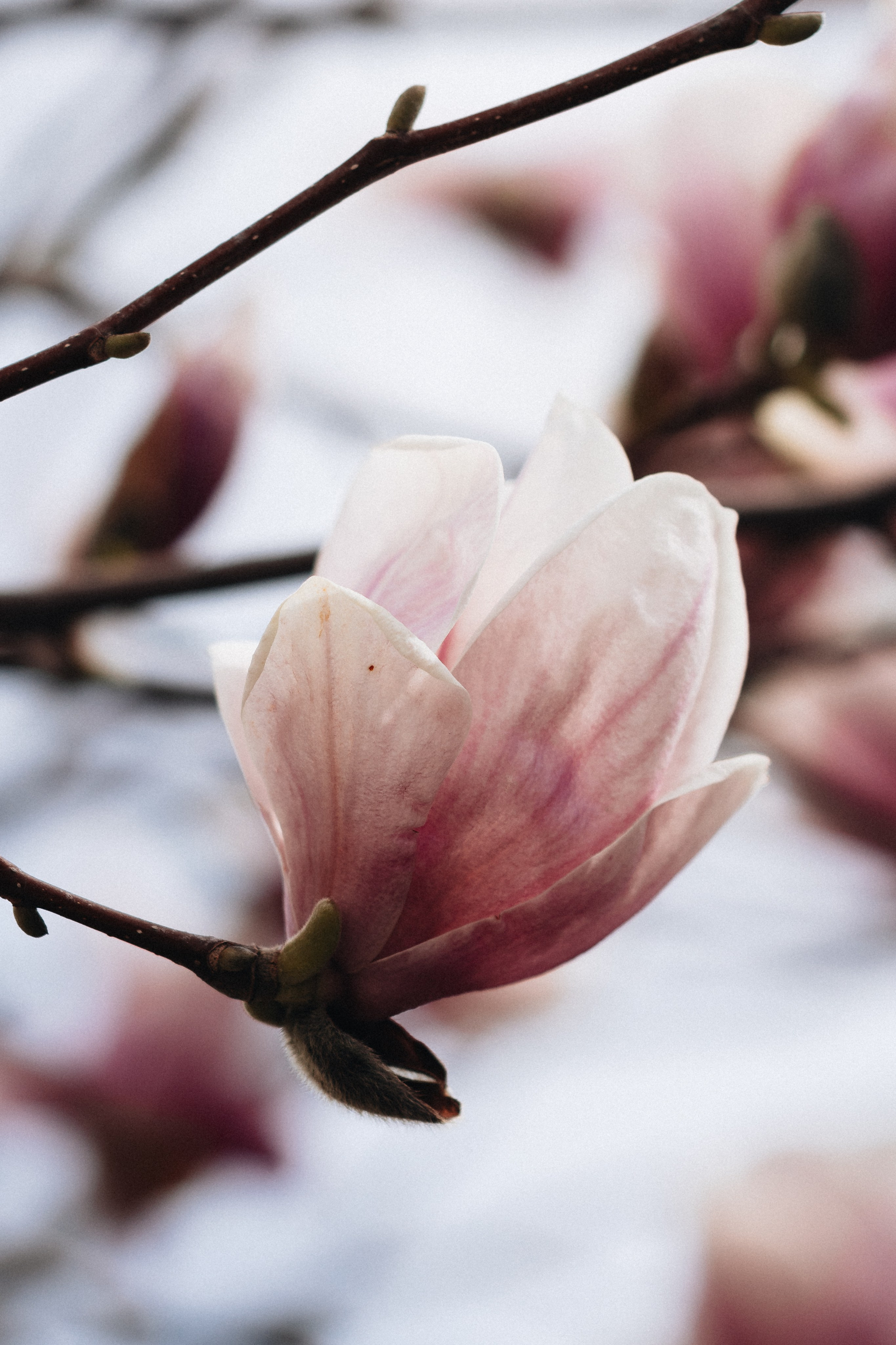 Macro. Фотограф на Юге России