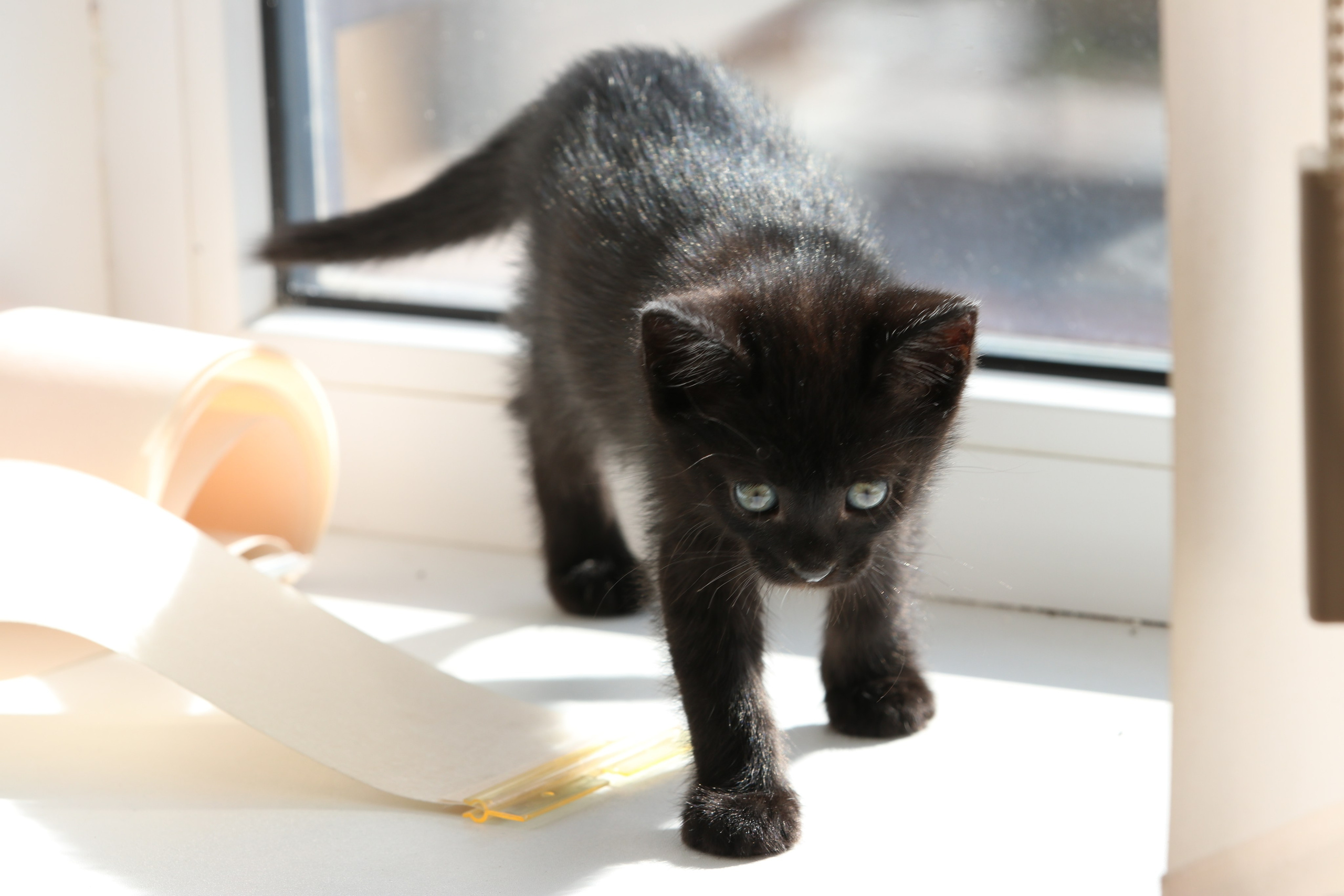 Приэльбрусье. Сентябрь 2023. Путешественник-фотограф из Санкт-Петербурга Татьяна Свистулина