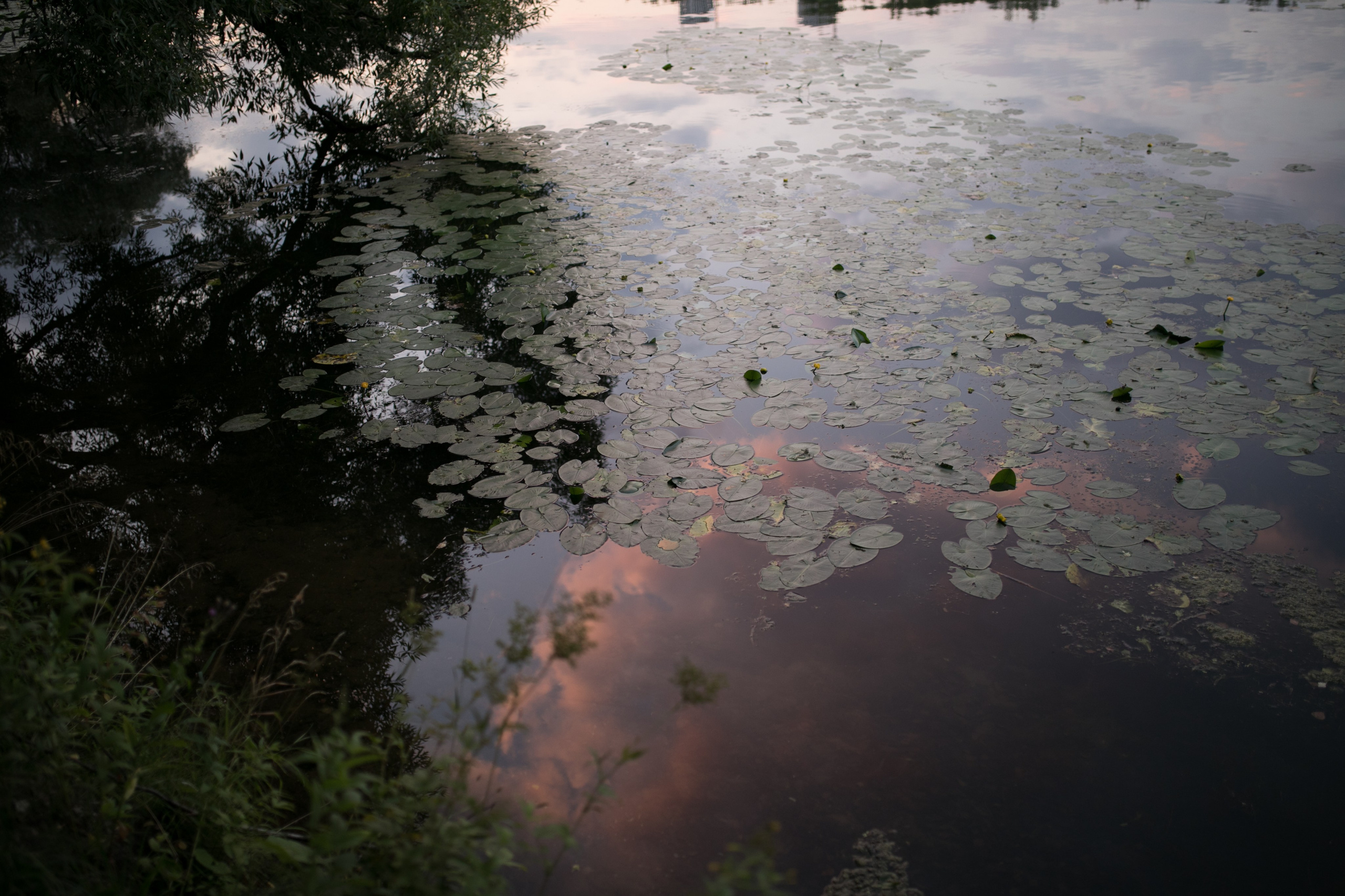 ОЛЬГА. Фотограф Лебедева Наталья