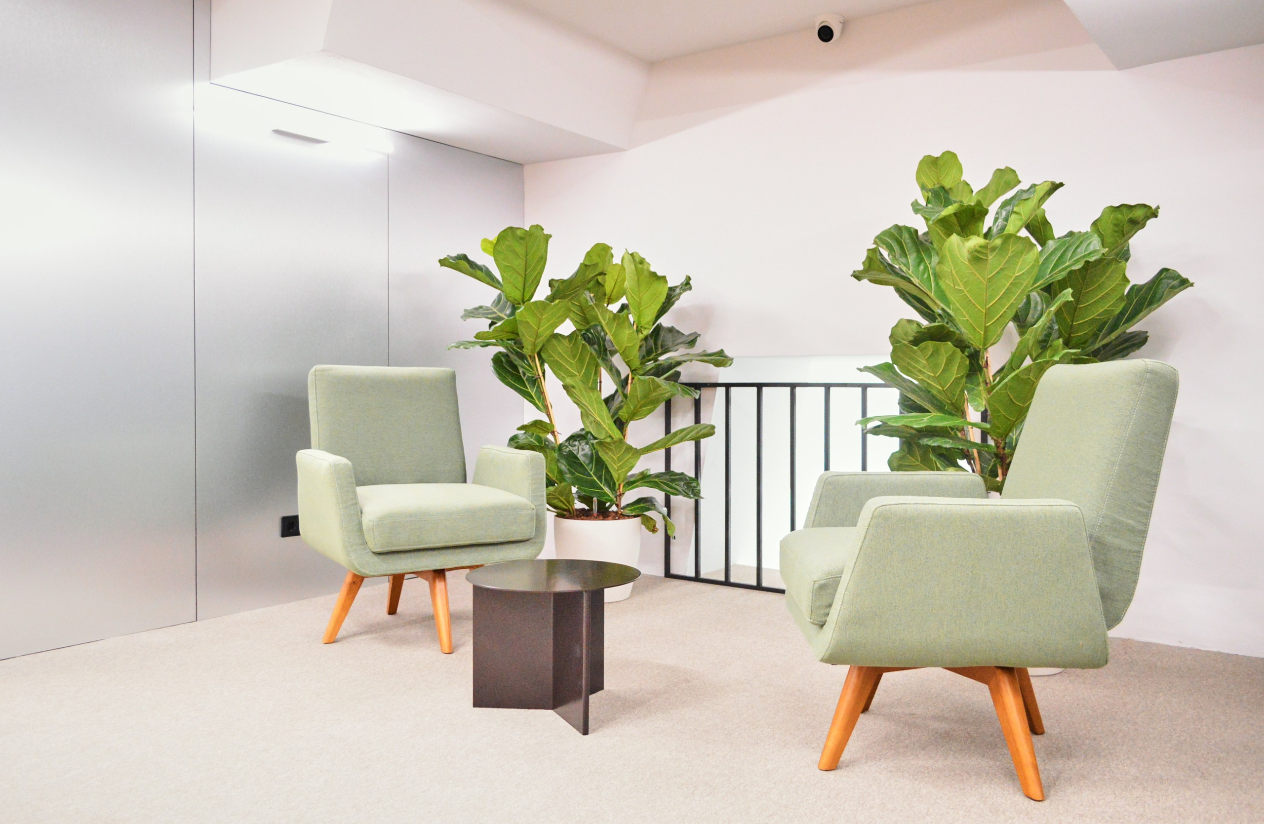 Озеленение ГК Techo. Фото и видео съемка в Сочи Адлере Красной поляне