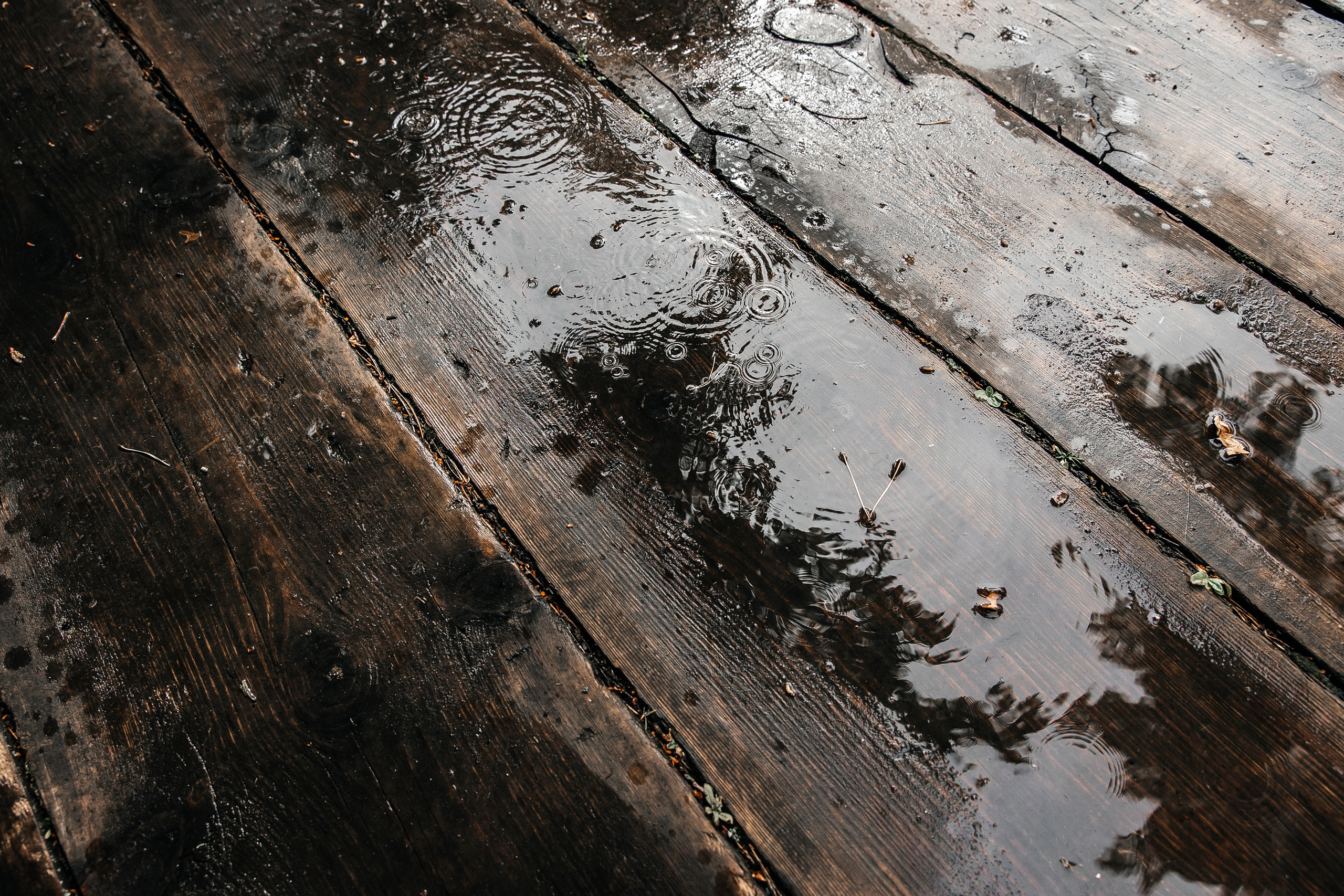 Здравствуйте! Я&nbsp;свадебный фотограф из&nbsp;Ульяновска, работаю в&nbsp;том числе по&nbsp;всей России и&nbsp;с&nbsp;выездом за&nbsp;границу. Снимаю свадьбы, lovestory, корпоративы, светский репортаж. Провожу обучение по&nbsp;фотографии, мастер-классы и&nbsp;воркшопы для других фотографов.