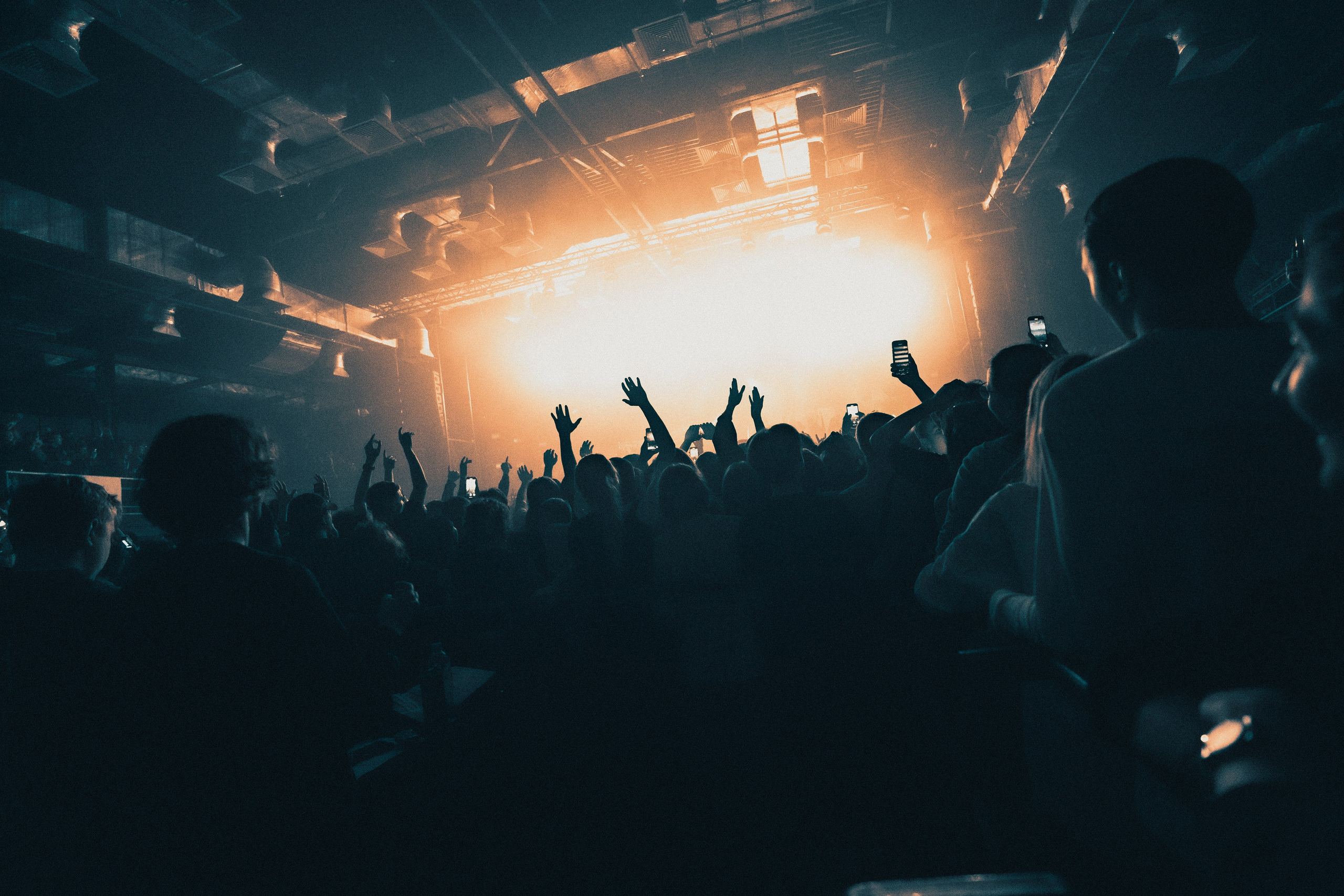 SALUKI. PASHAHARCE PHOTOGRAPHER & VIDEOGRAPHER