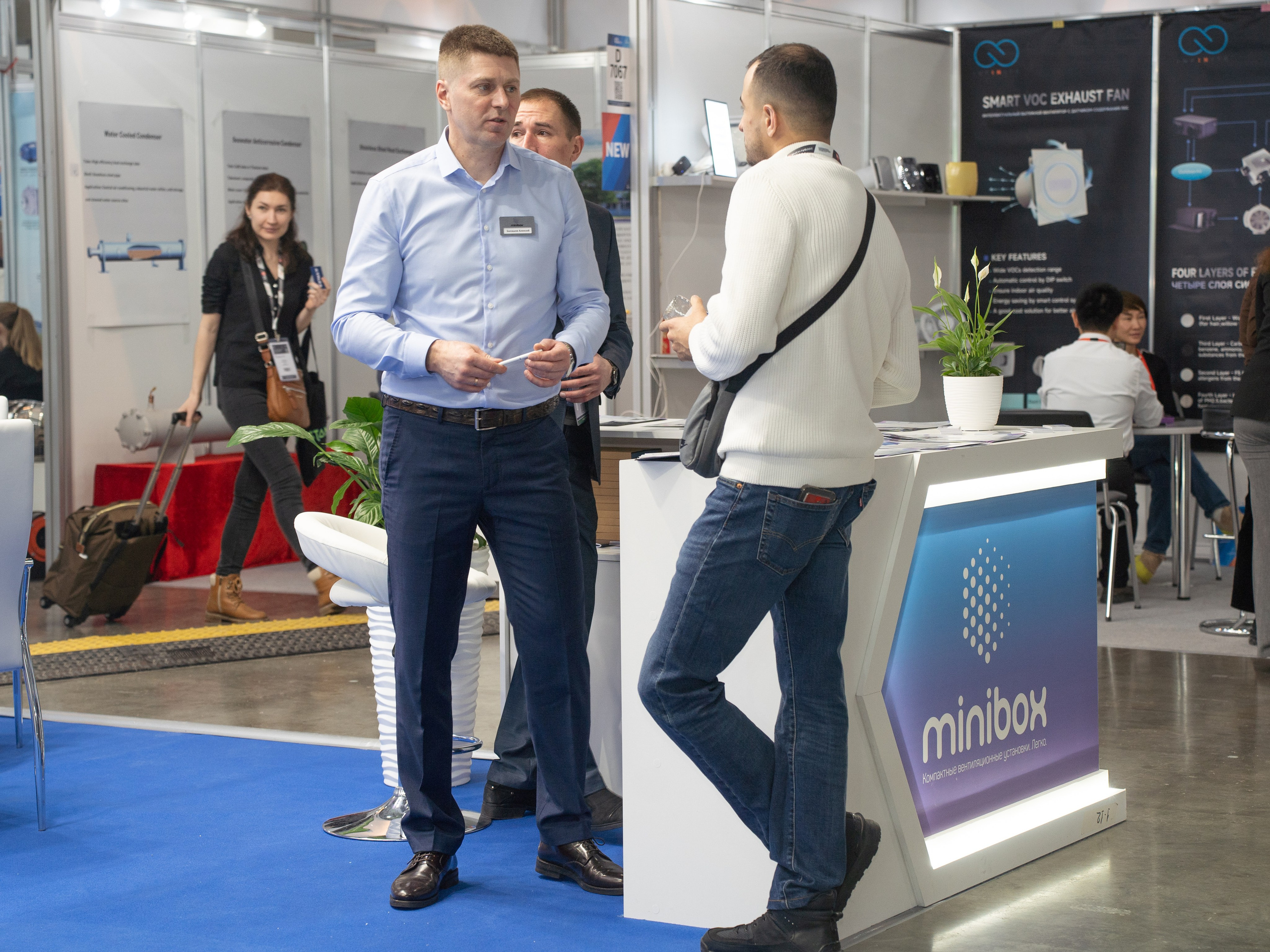 Крокус Вентиляция. Фотограф Зинаида Евдокимова