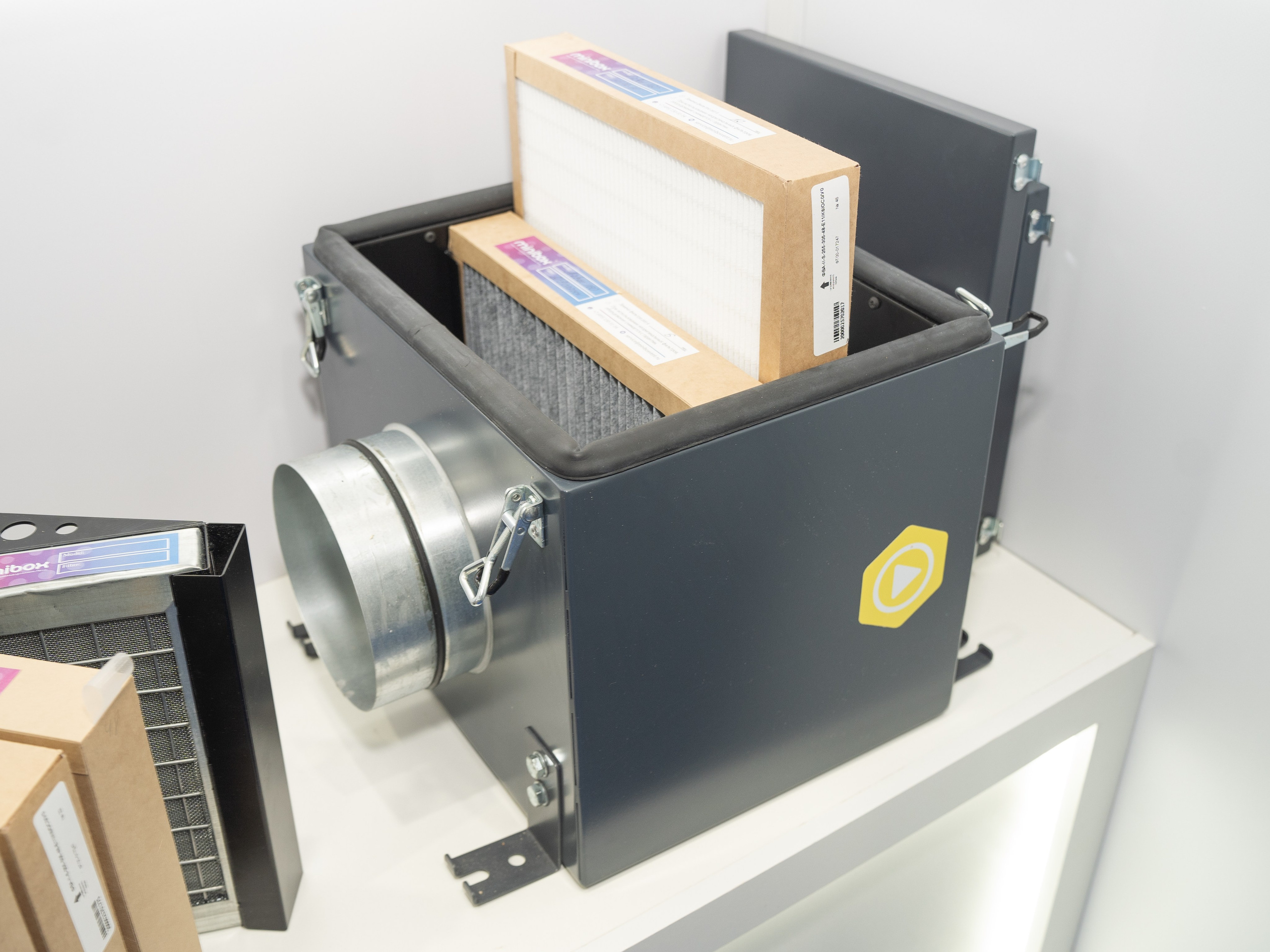 Крокус Вентиляция. Фотограф Зинаида Евдокимова