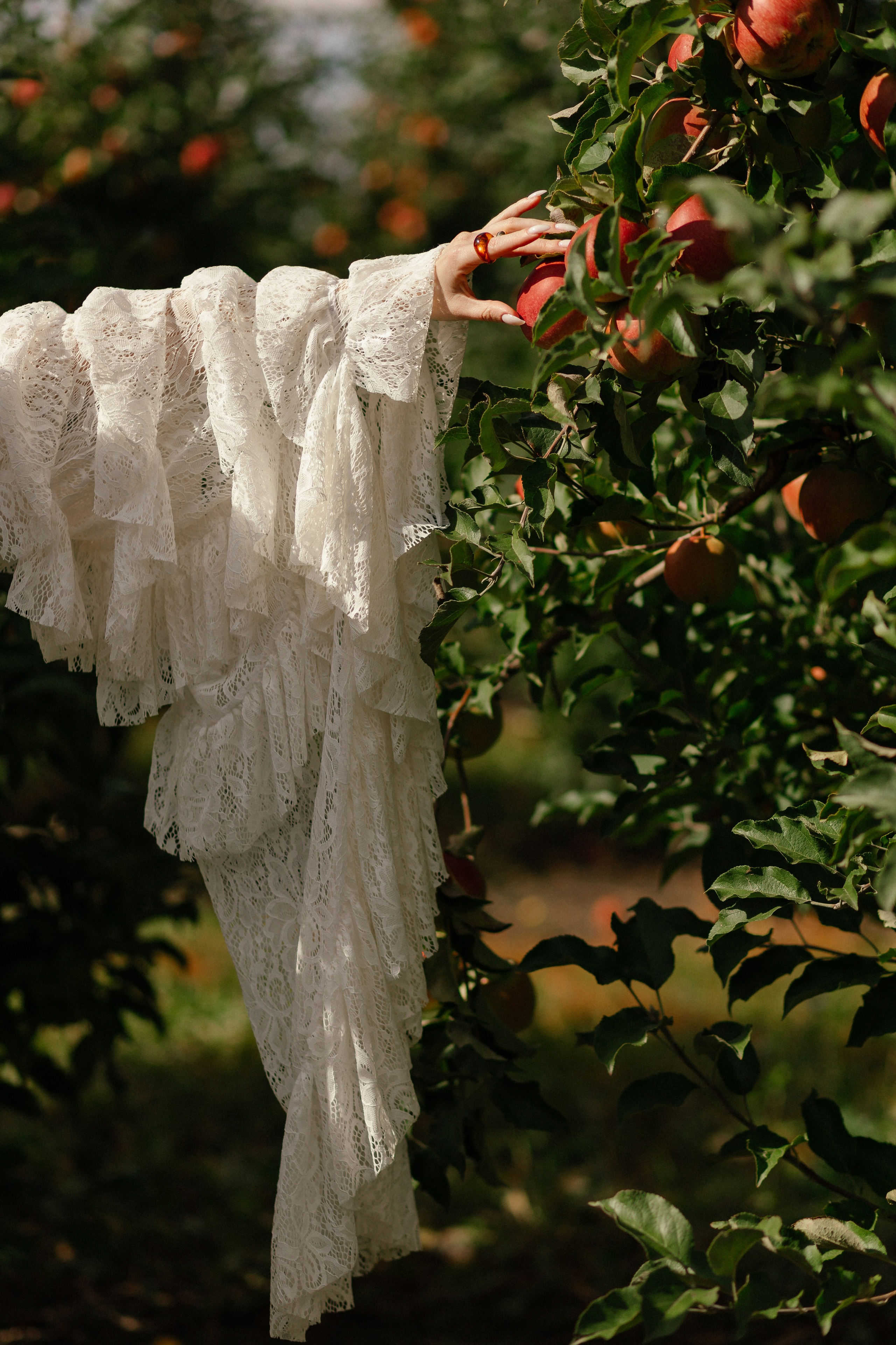 Диво Дивное!. Свадебный фотограф Алина Хабарова