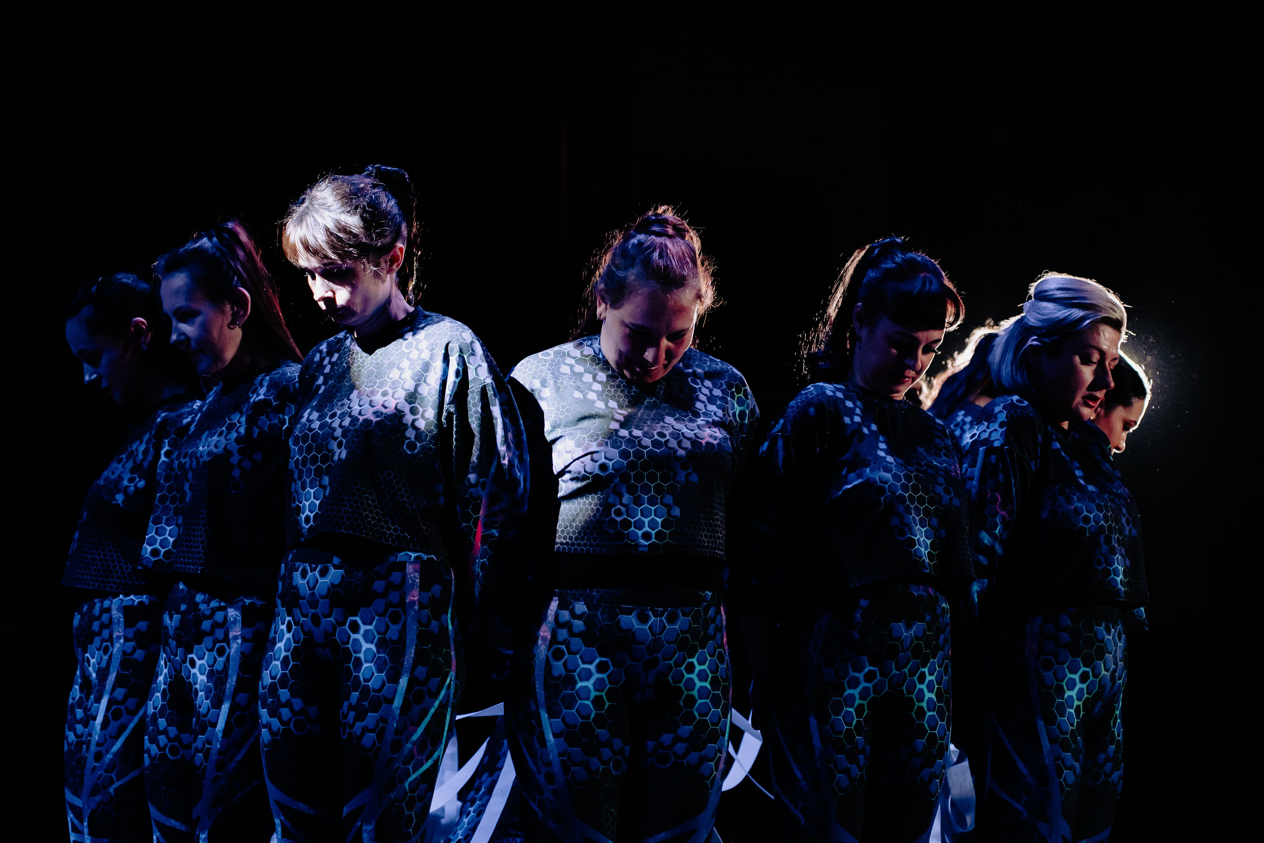 Концертная форма. Фото