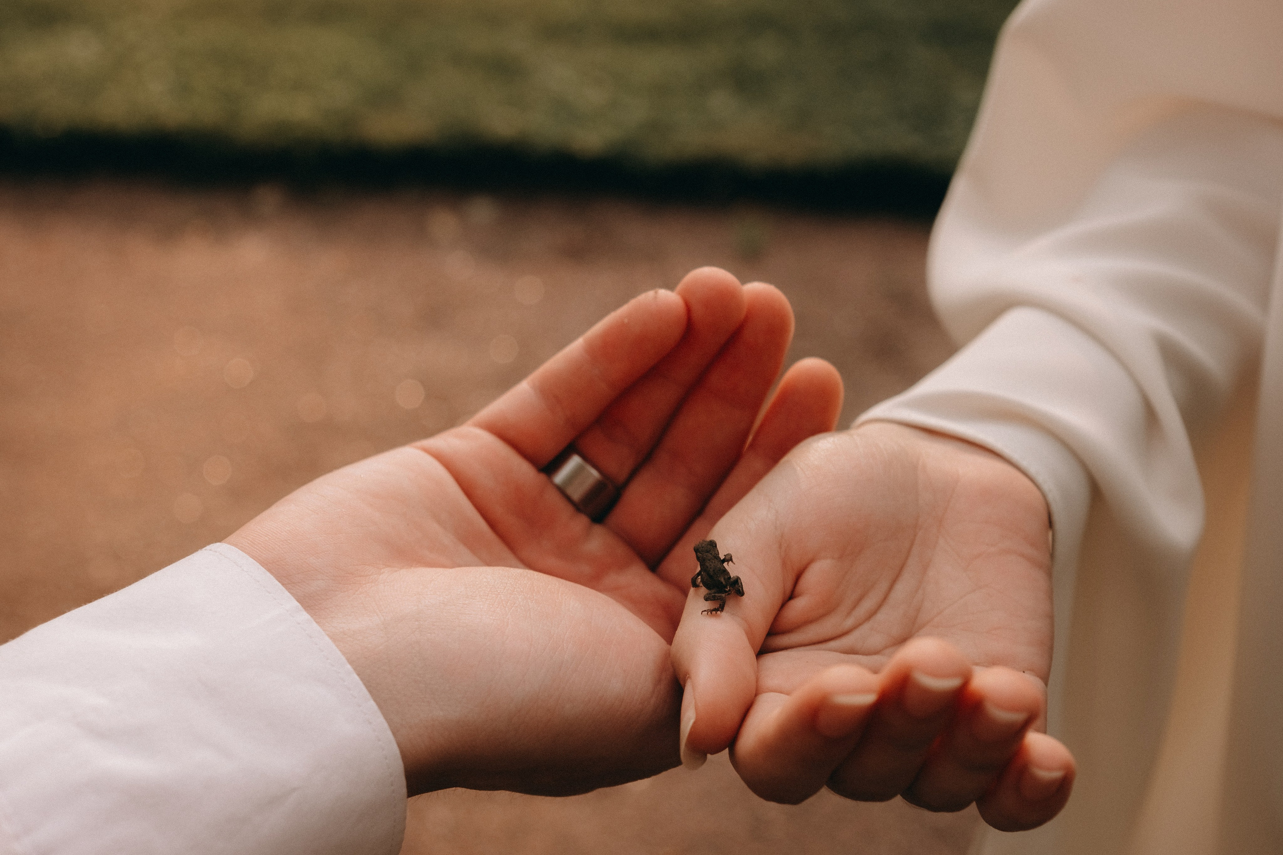 Свадьба Наташи и Вани. Семейный фотограф в Санкт-Петербурге Дарья Косянчук