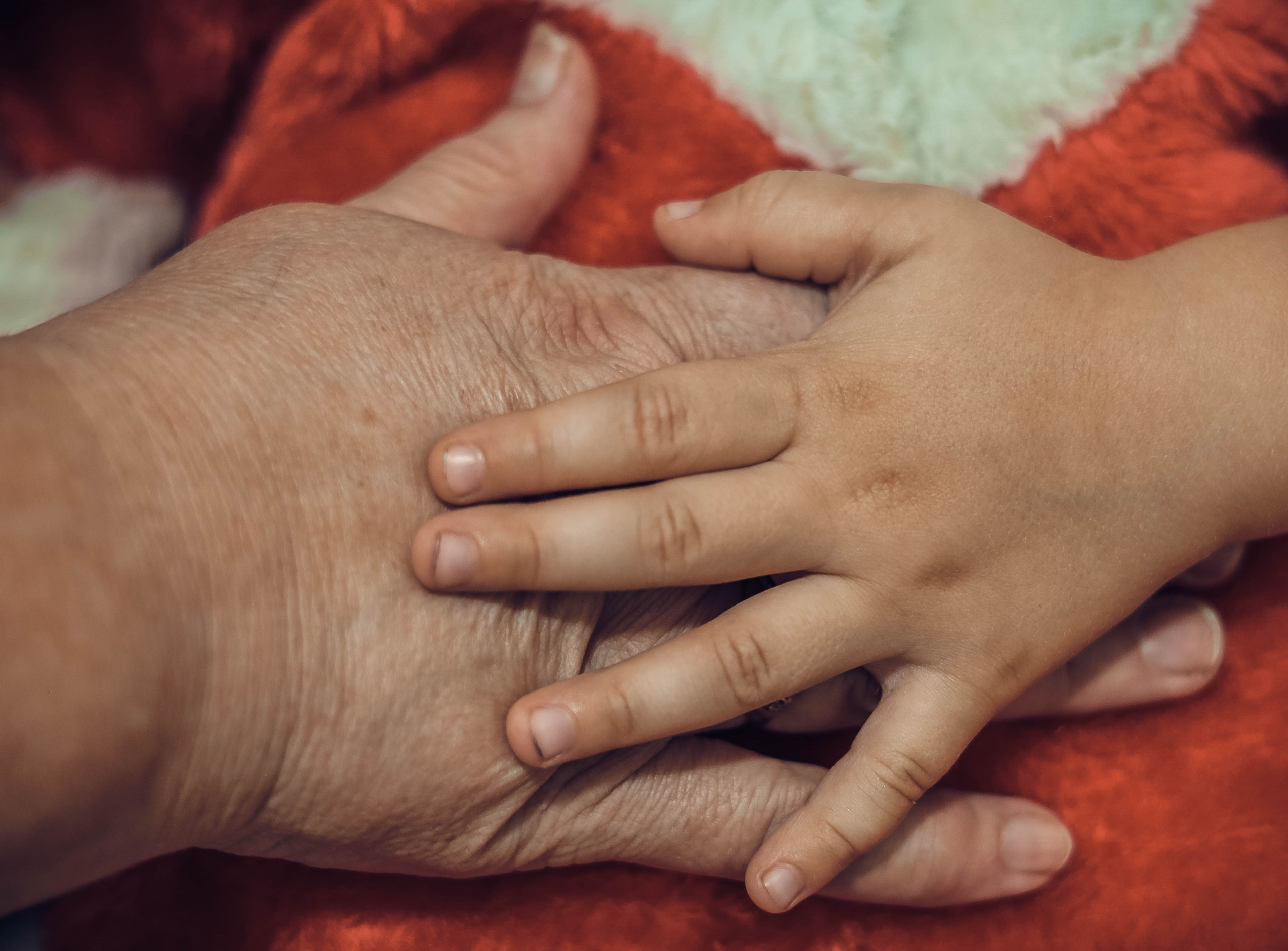 Связь Поколений — 8. Артеменкова Анна Фотограф