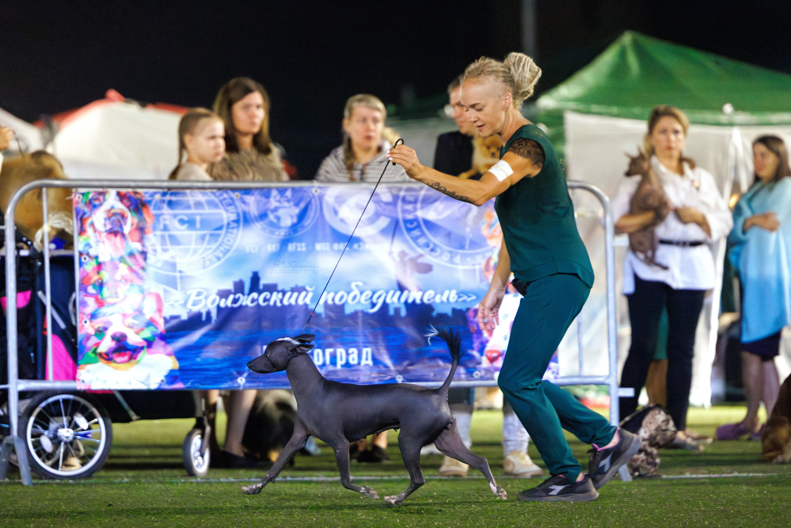 Волгоград 2-4.08.2024. Фотограф-анималист Юлия Германика