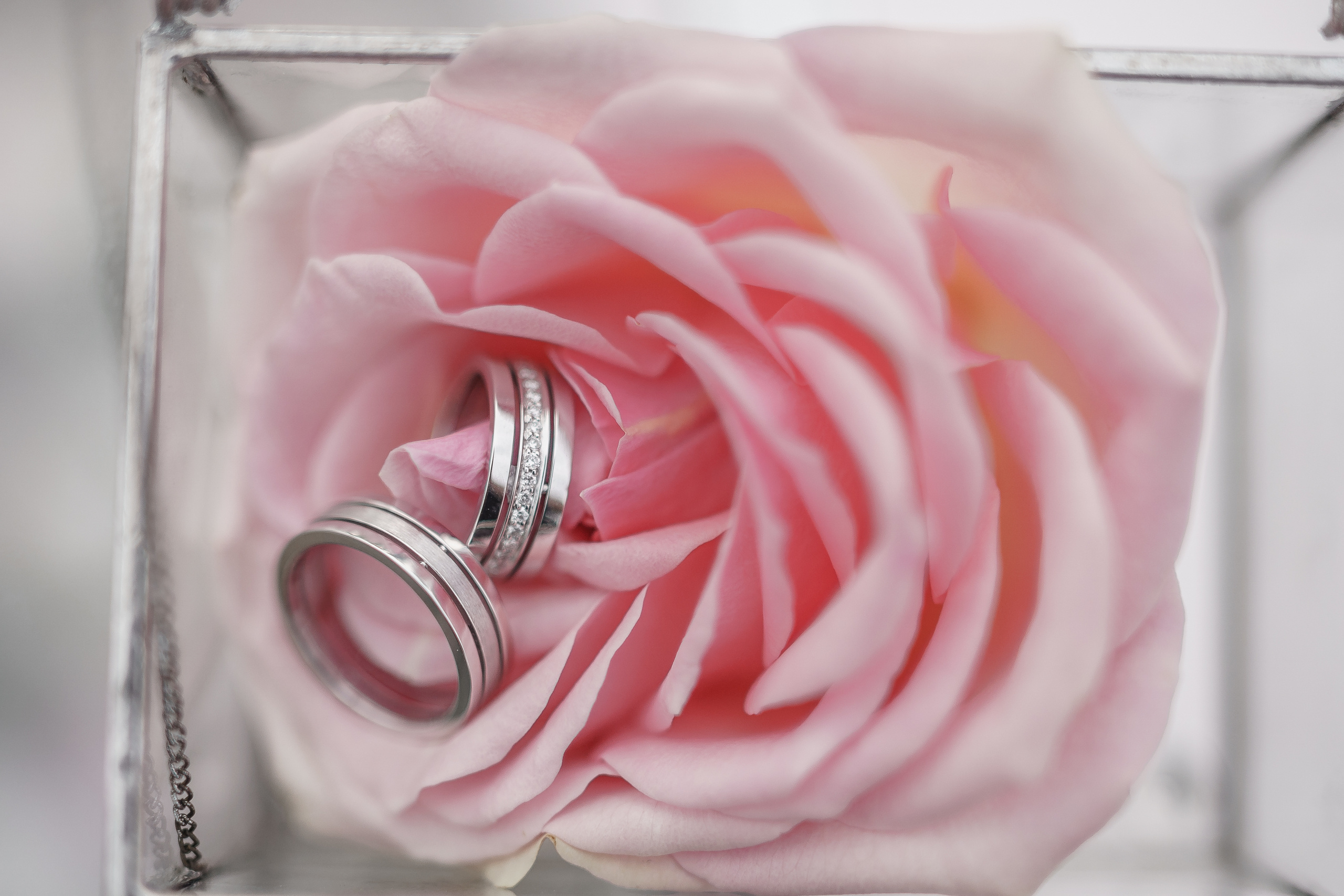 Дмитрий и Анна. Репортажный фотограф Ростов-на-дону