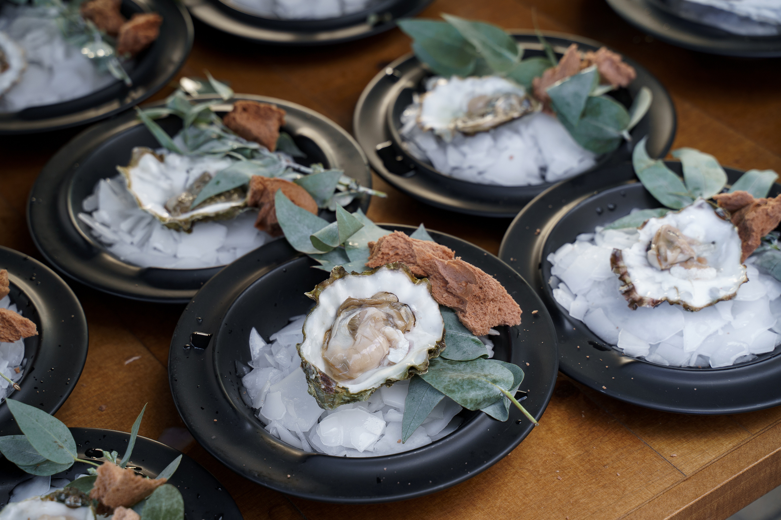 John Bekon Гастроужин 2019. Репортажный фотограф Ростов-на-дону