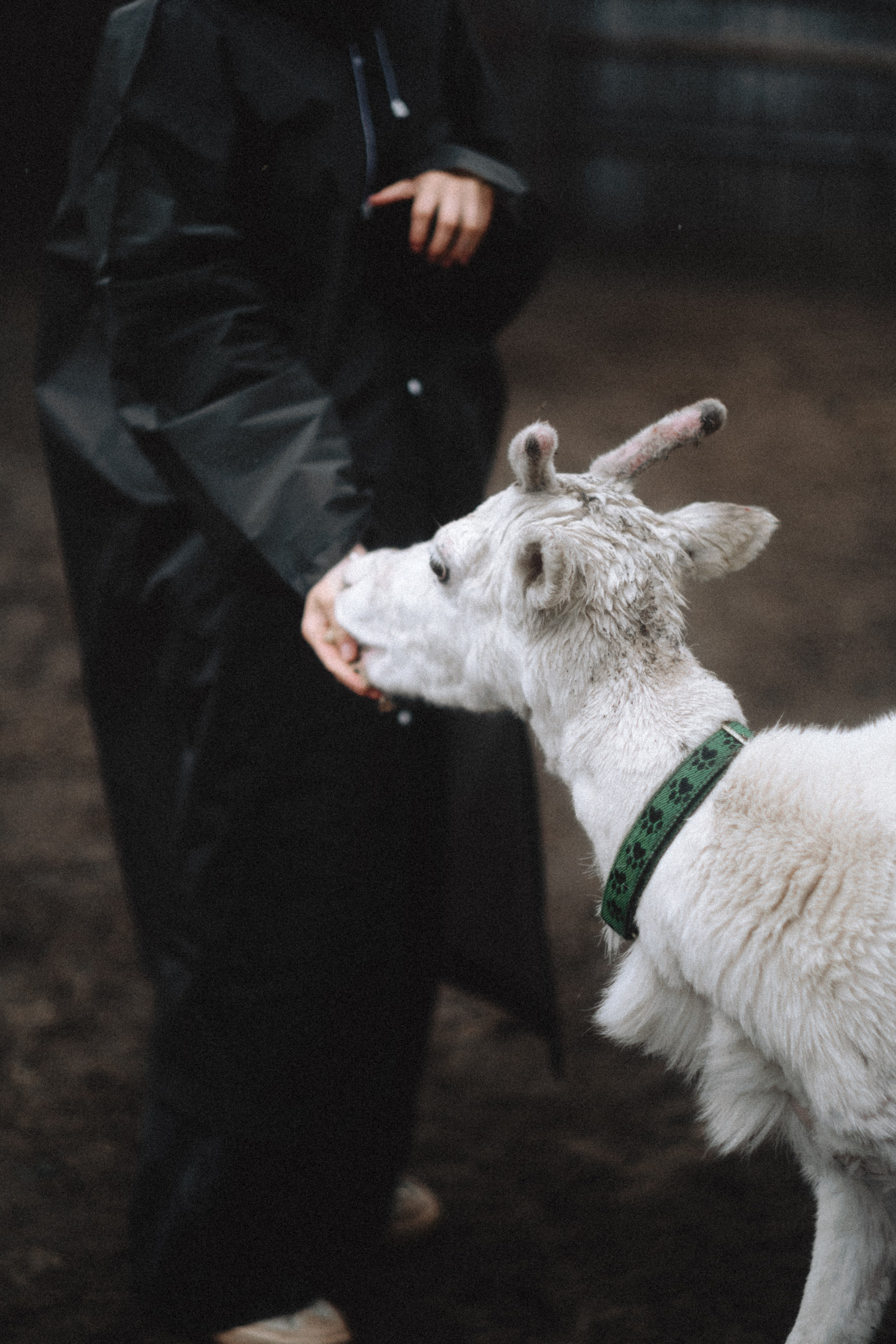 Териберка, Мурманск. Фотосъёмка для компании по организации туров в коллаборации с Яндекс 360