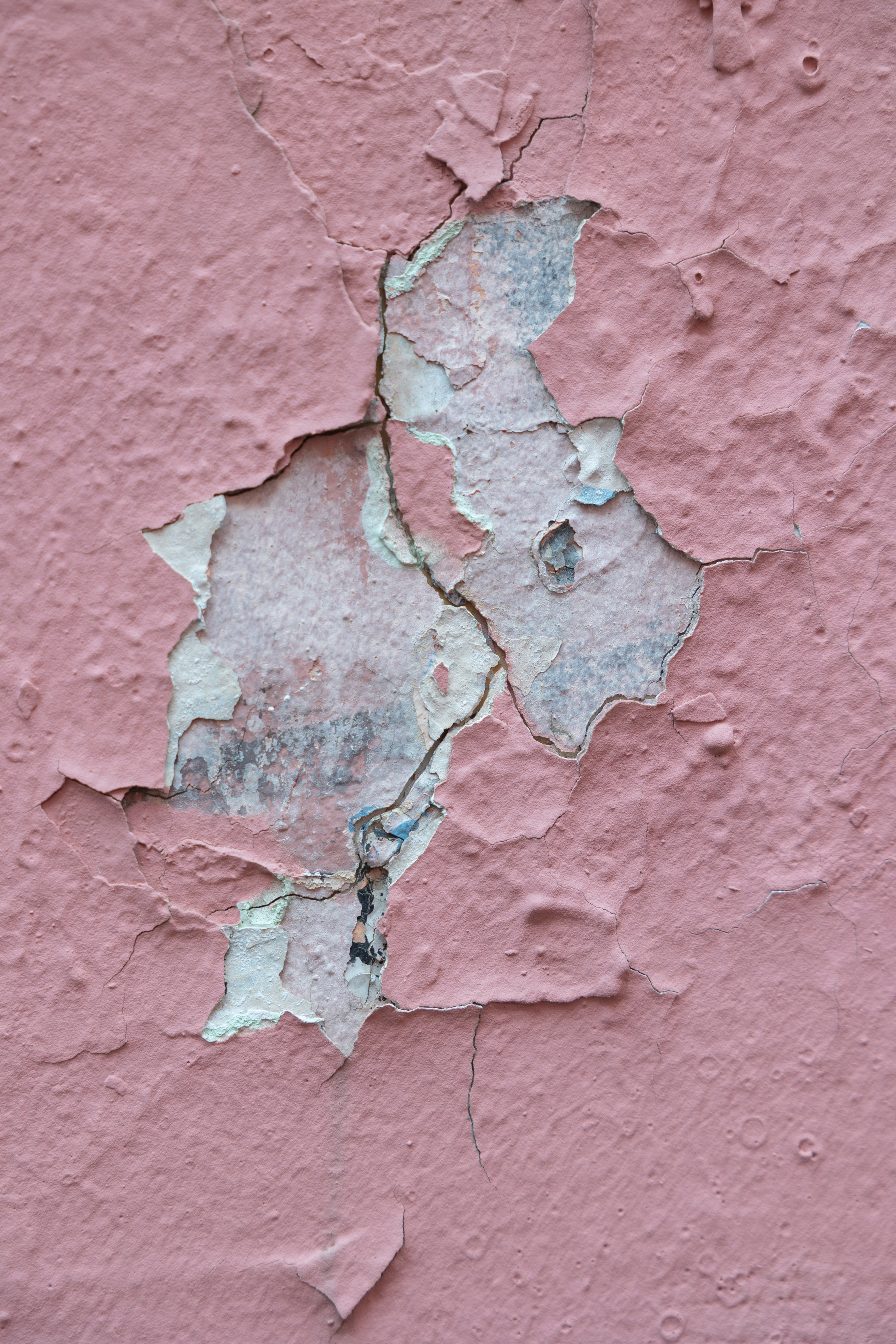 Art prints. Фотограф алина стерхова, алина стерхова фотограф, фотограф москва