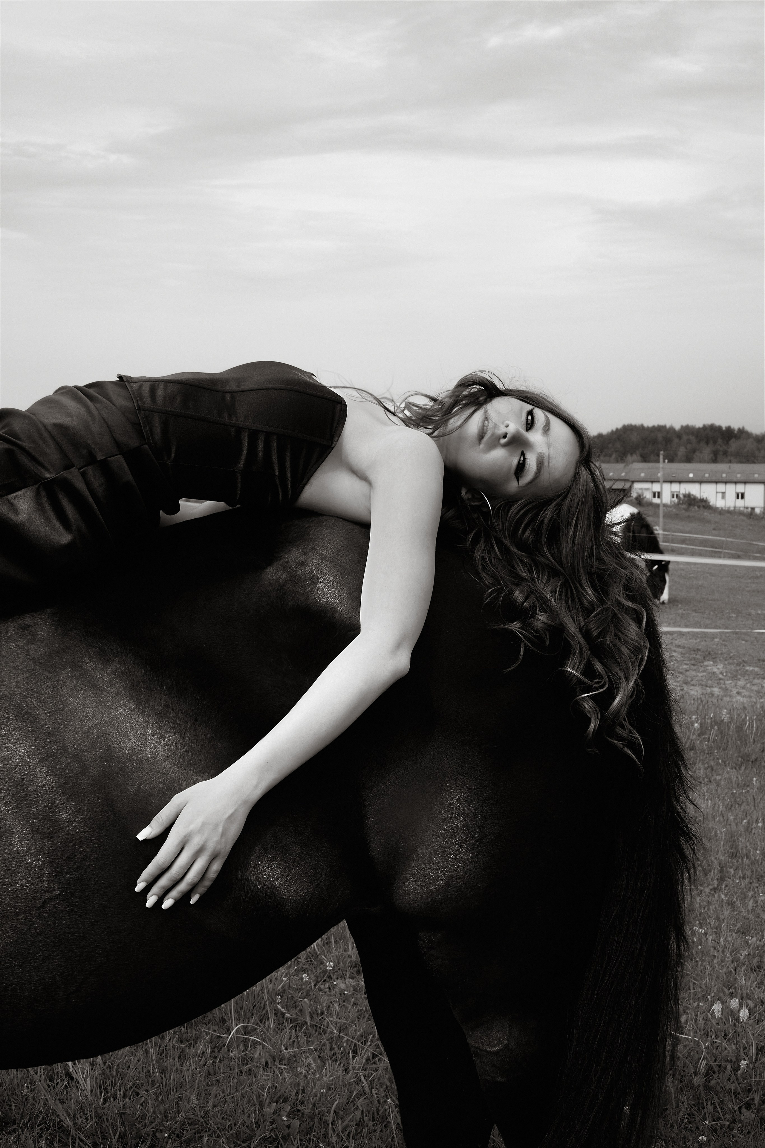 The black horse. Фотограф Надежда Куксина