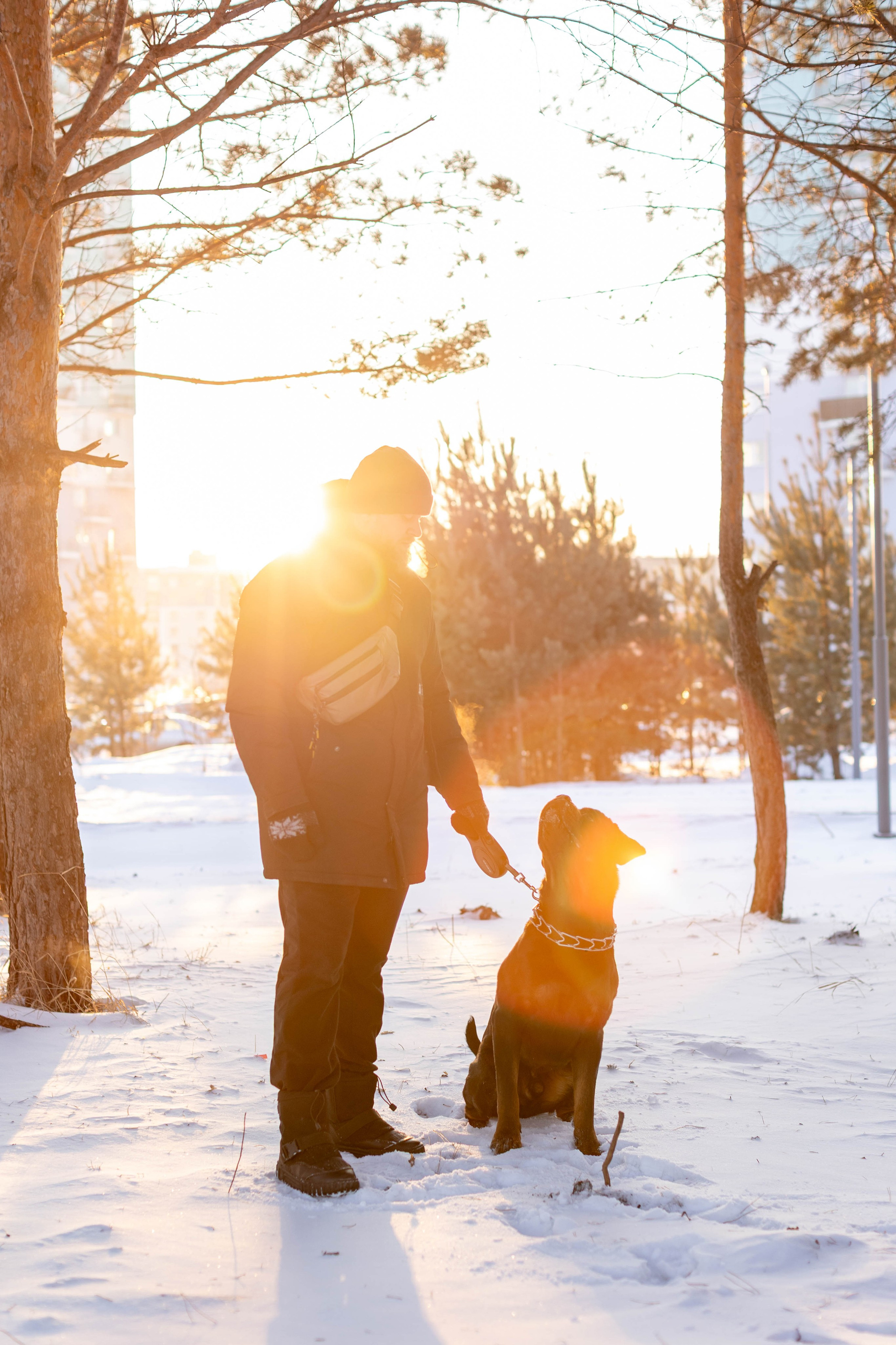 Зимняя прогулка. Art my Pho
