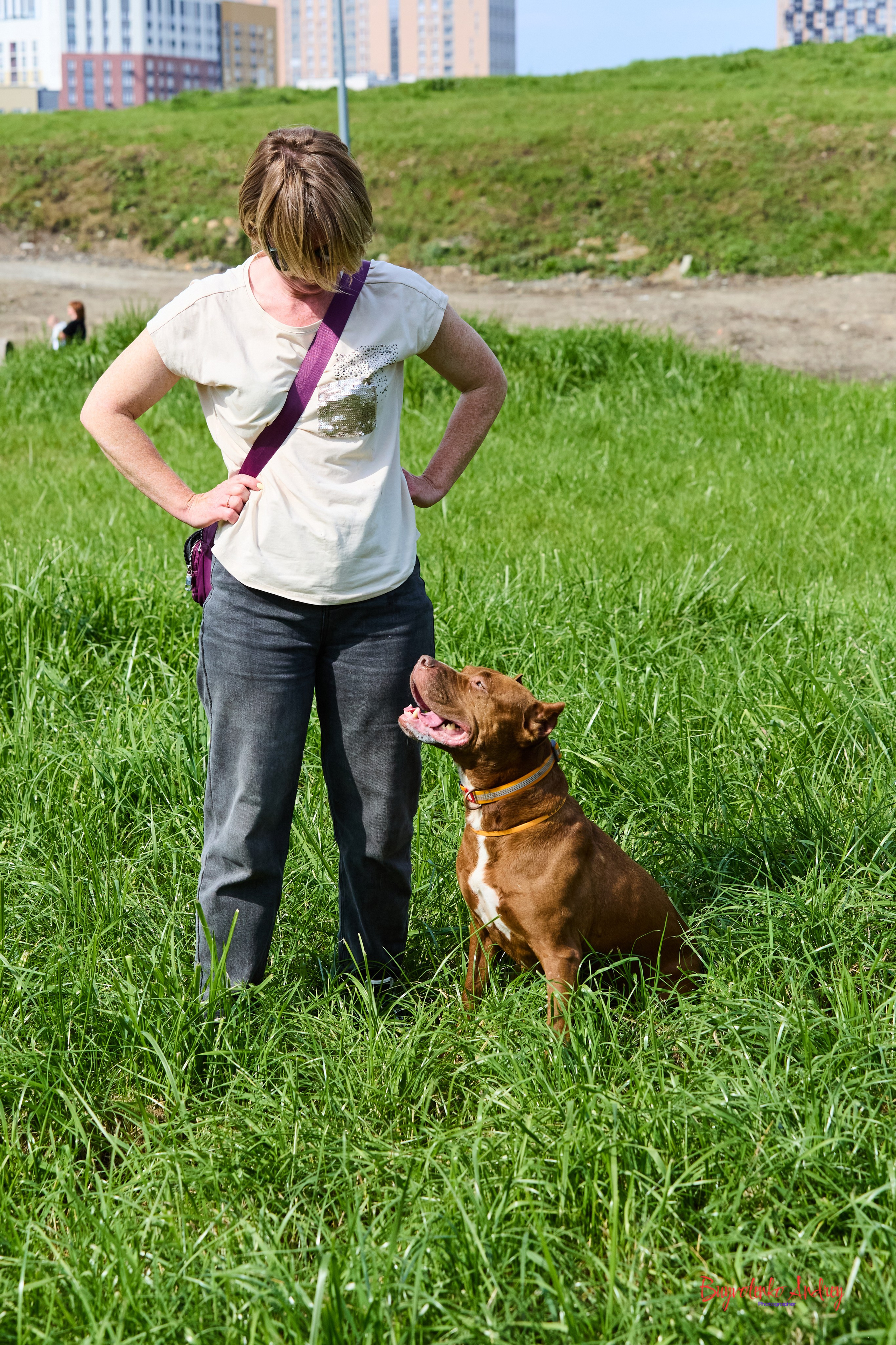 Проект фотопрогулка с хвостиком. Buyvolenko Andrey