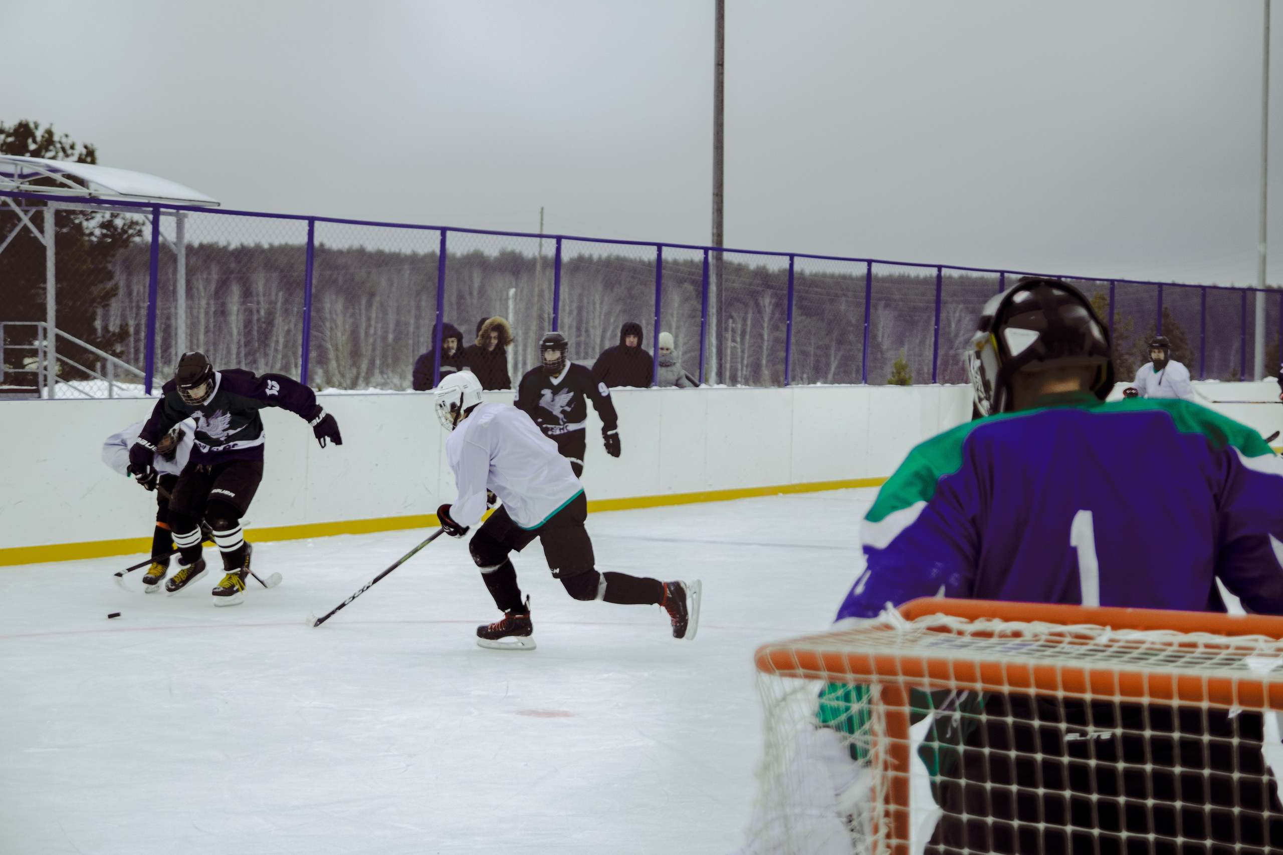 Хоккей 29.12.2024