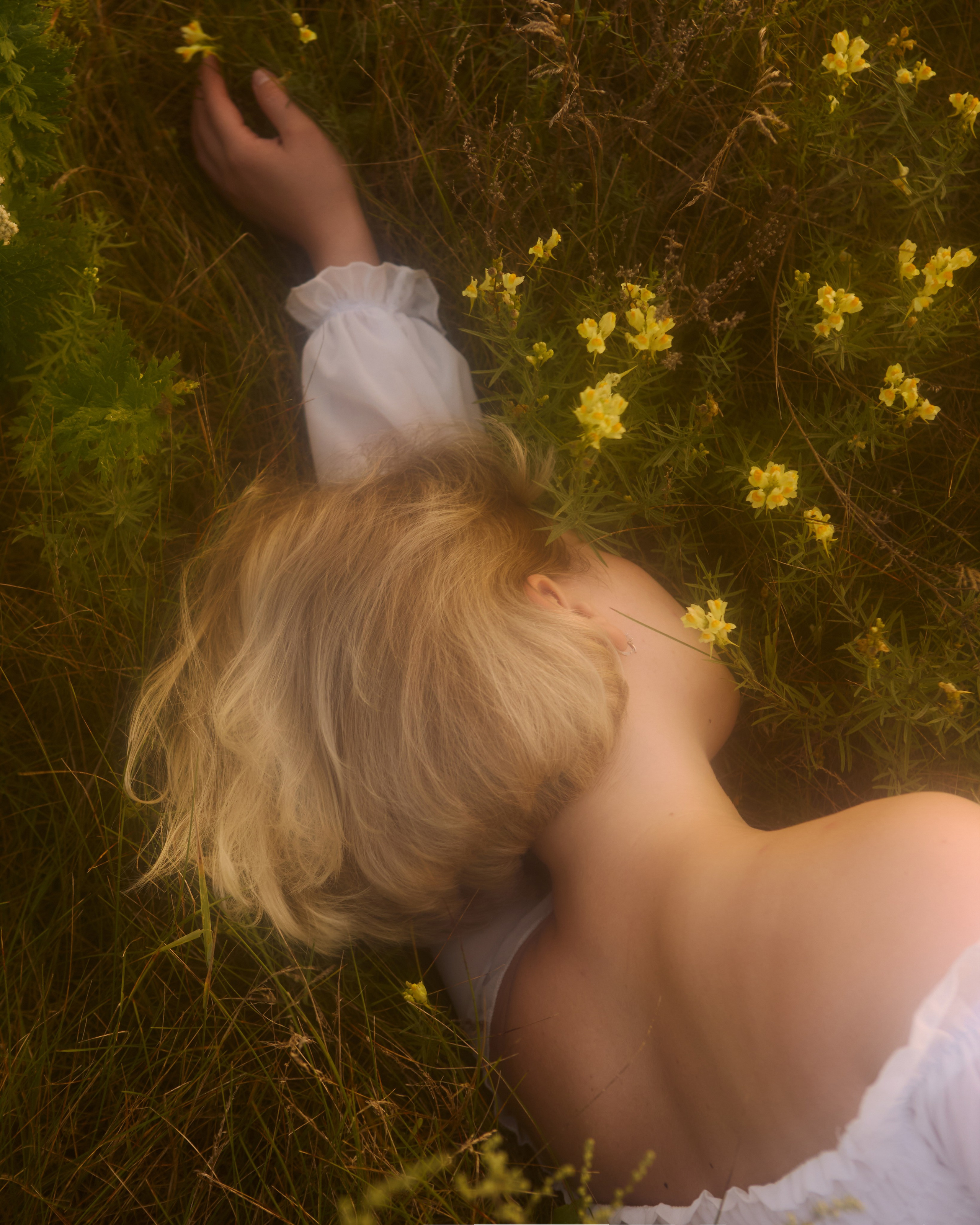 летняя фотосессия в поле, фотограф в Москве Калагина Светлана