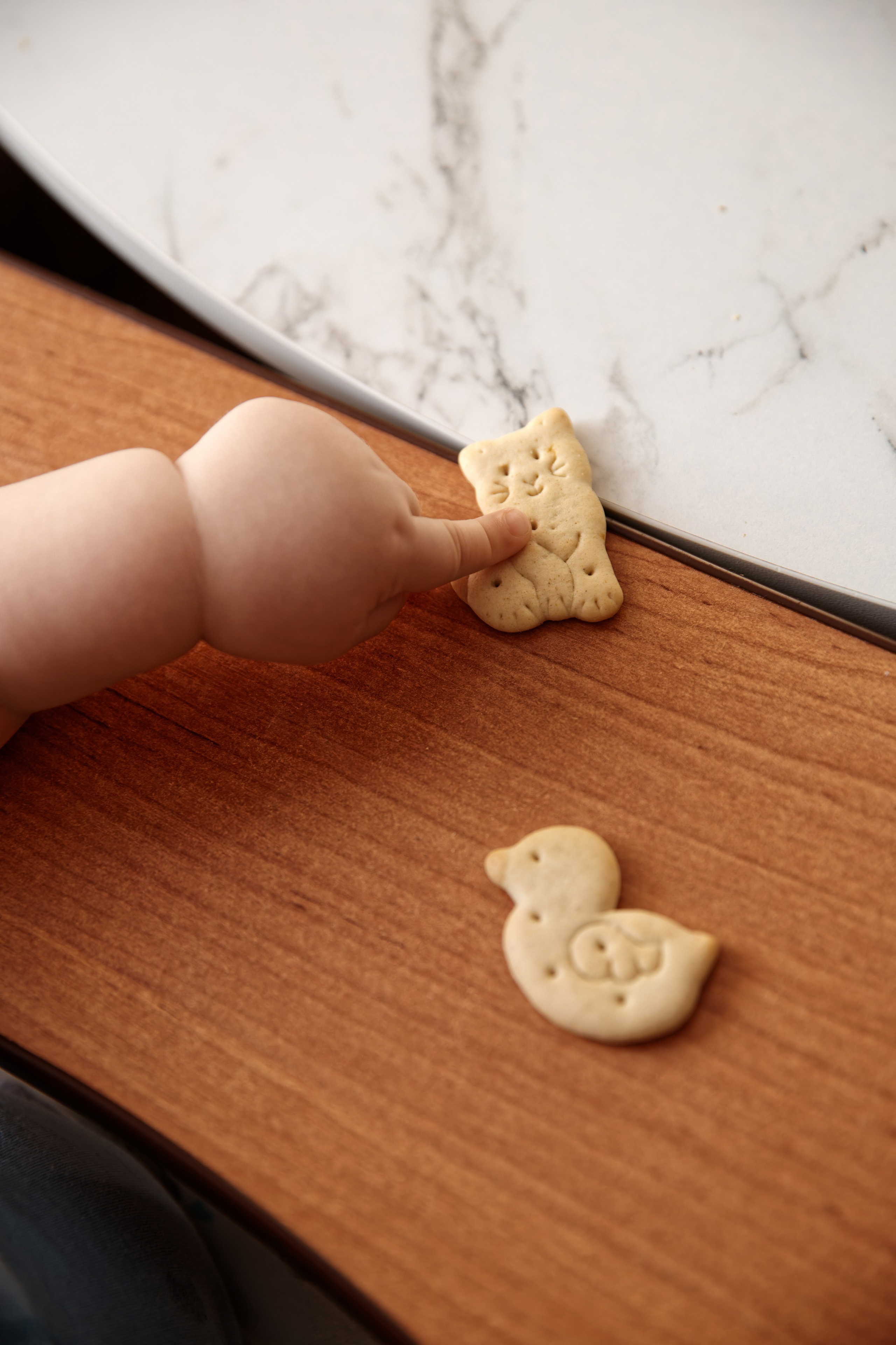 Семья Гуторовых. Семейный фотограф — Макс Белогрудов