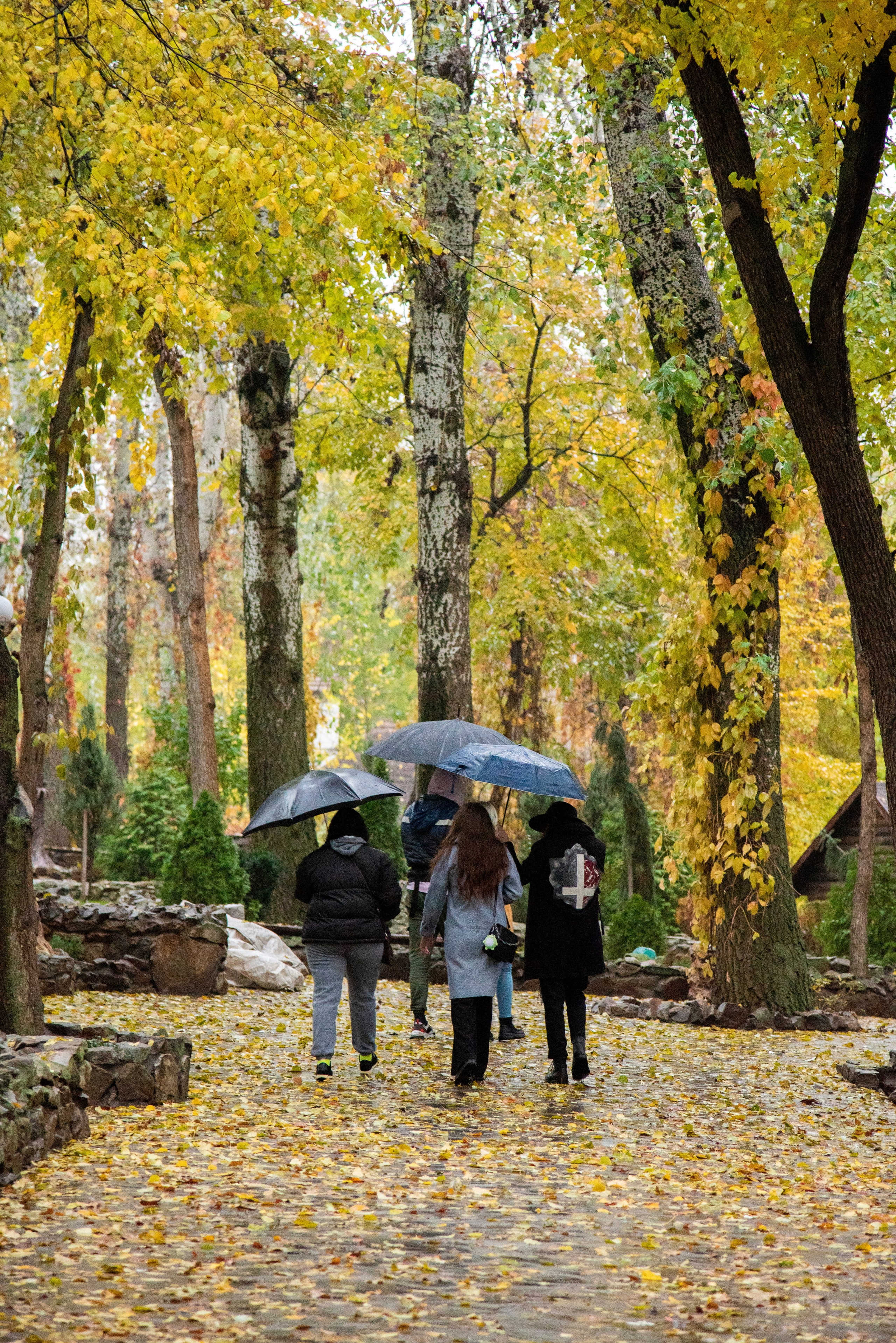 Парк Лога 22. Фотограф Вадим Хмурковский