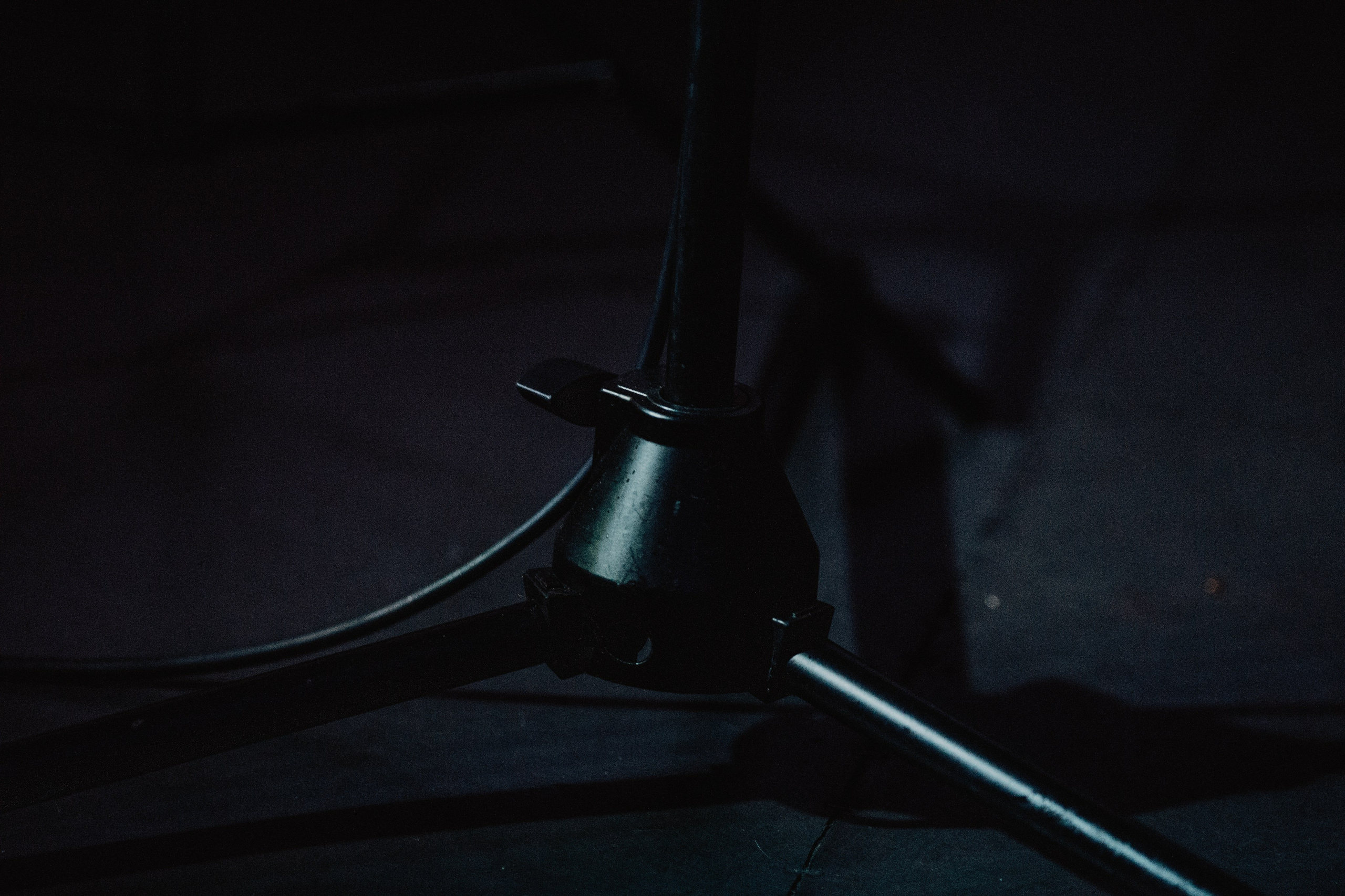 ФИРМЕННЫЙ ФЕСТ. Фотограф Елена Богачева (lenalena_na_na_na)