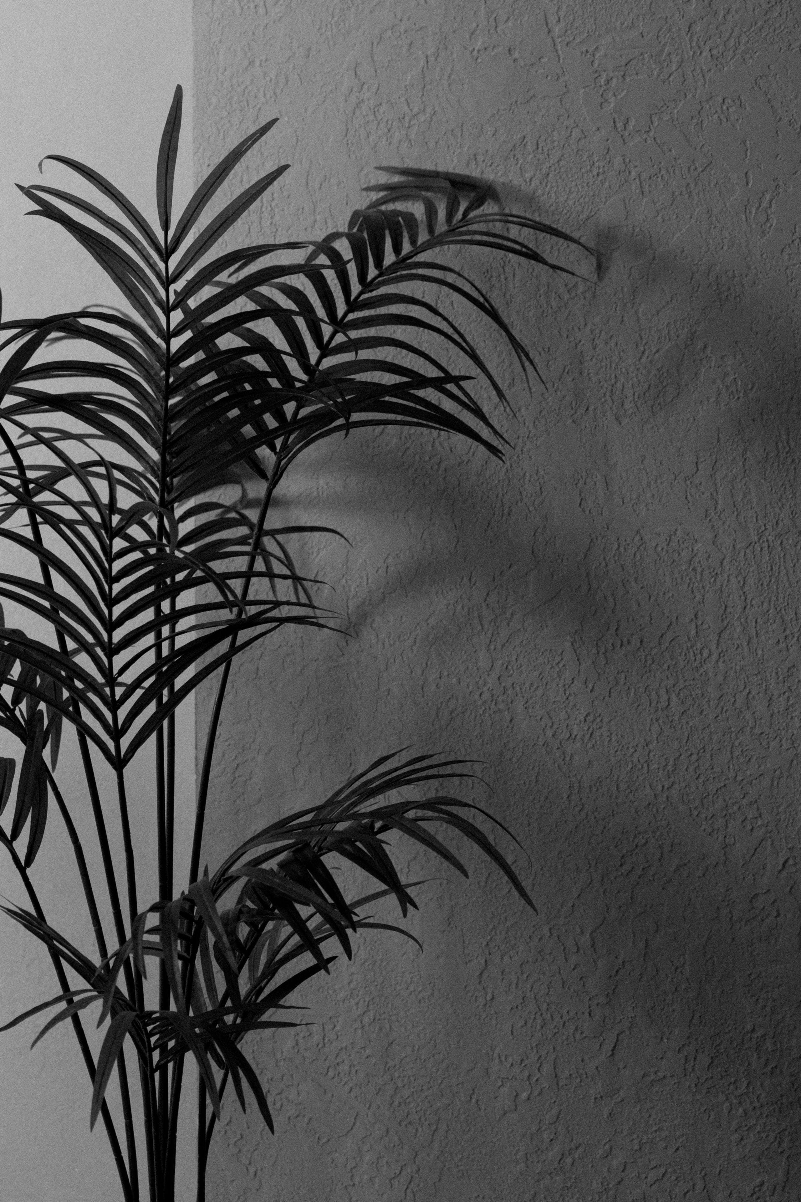 Фотограф Самара. Фотосъемка мероприятий Самара. Репортажный фотограф в Самаре. Хороший фотограф в Самаре. Фотосъемка корпоратива. Фотограф в Самара Роман Квес