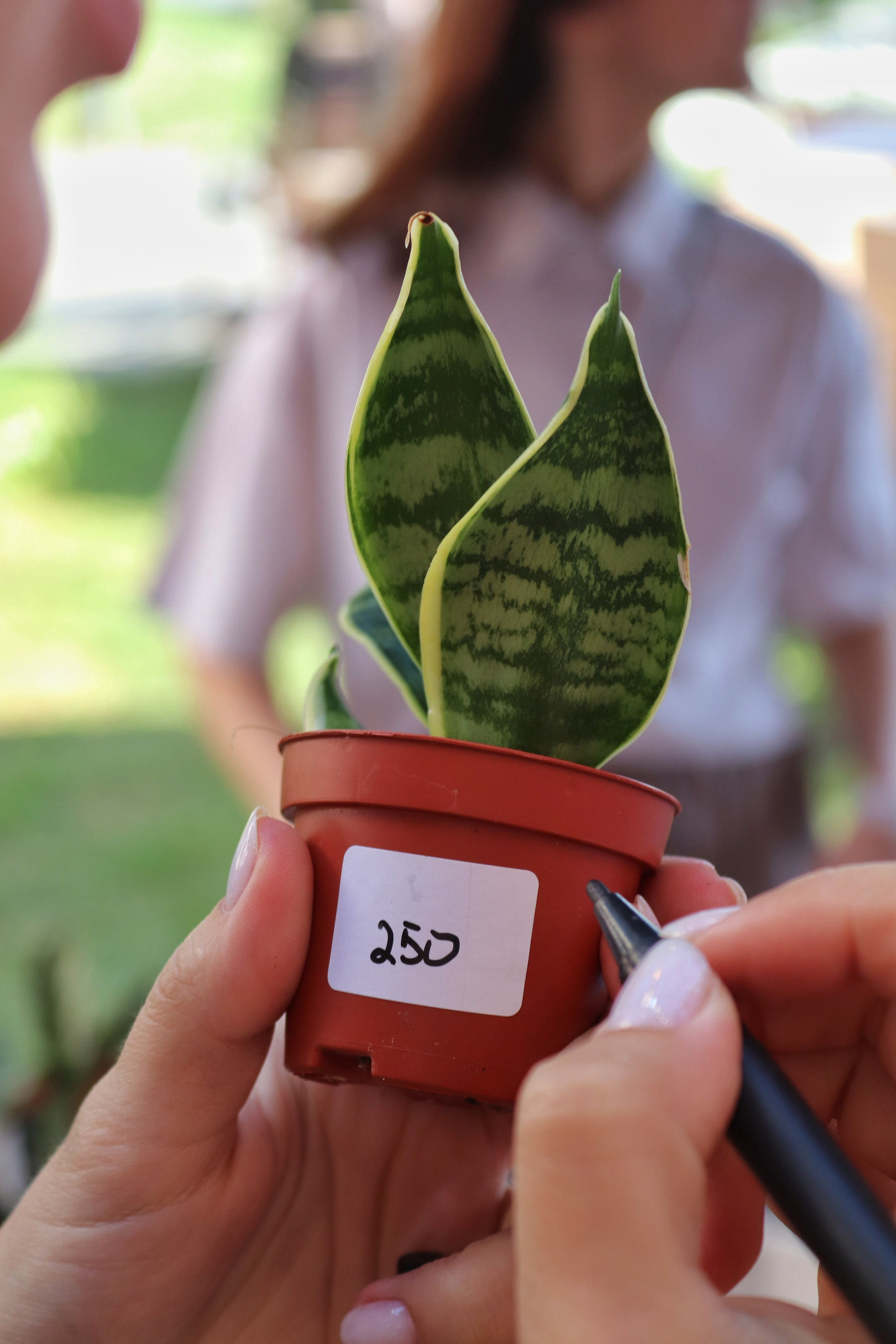 Репортажная съемка. Фотограф в г. Барнаул Нина Чепрасова