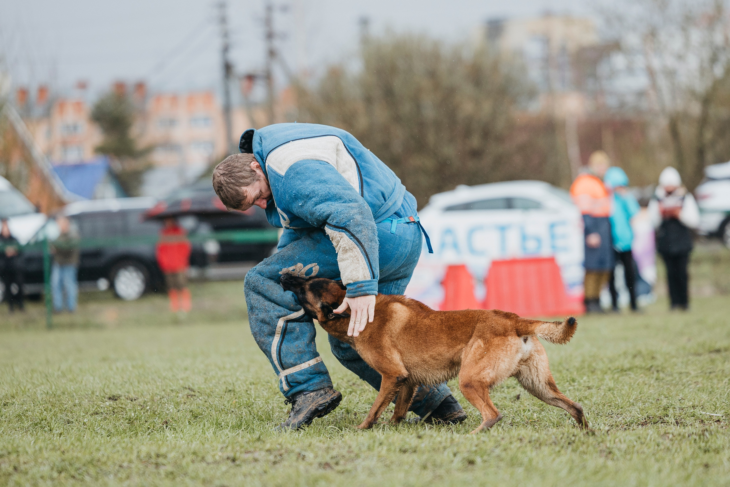 09.05.25 Вологда соревнования. Фотограф-анималист Анна Маринич