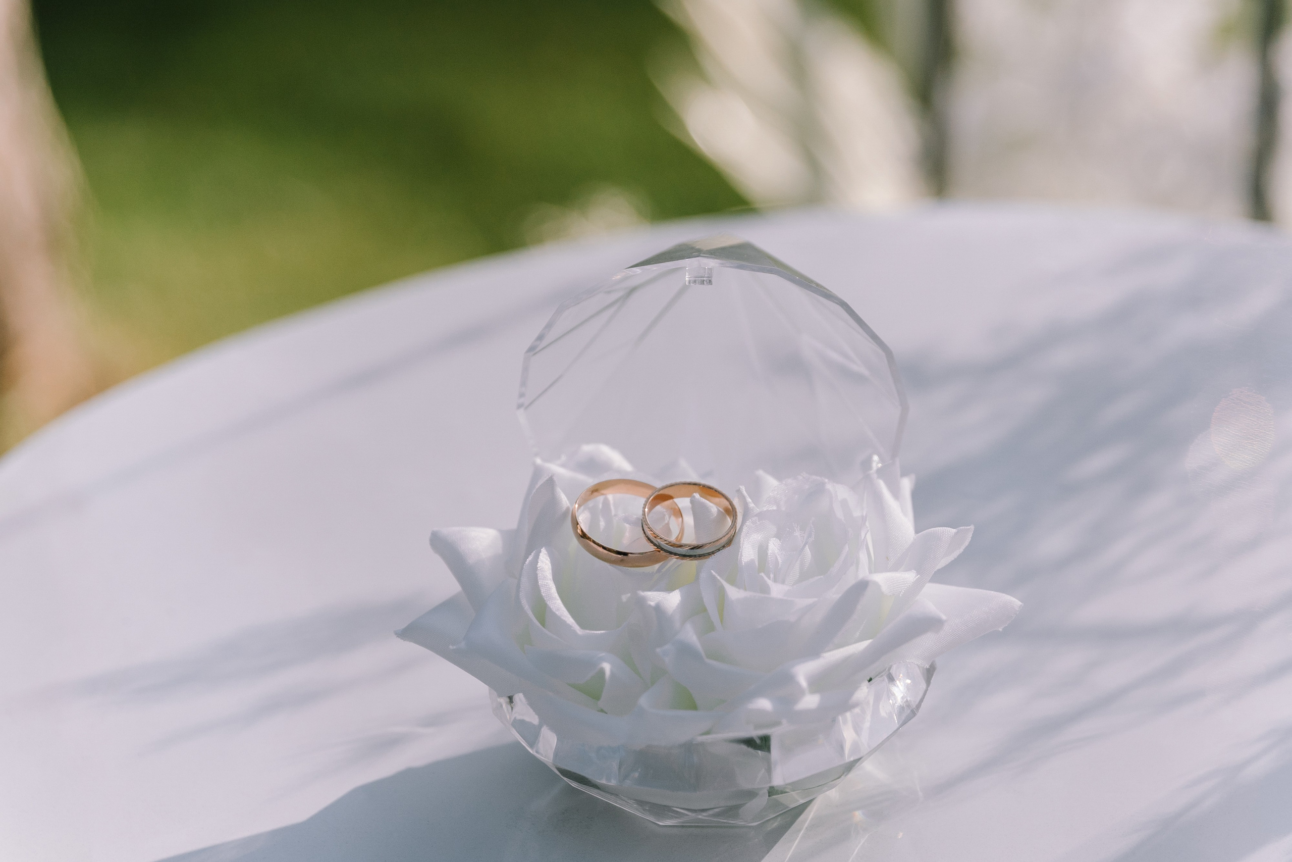 В первый день сентября. Фотограф Елена Краснопевцева