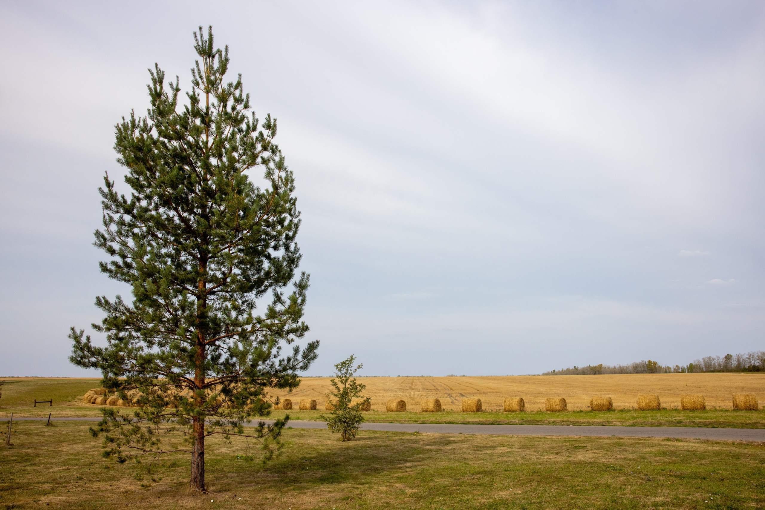 Куликово Поле. Фотограф в Туле Крупский АнДРей. Фотостудия «КАДР71» в Туле