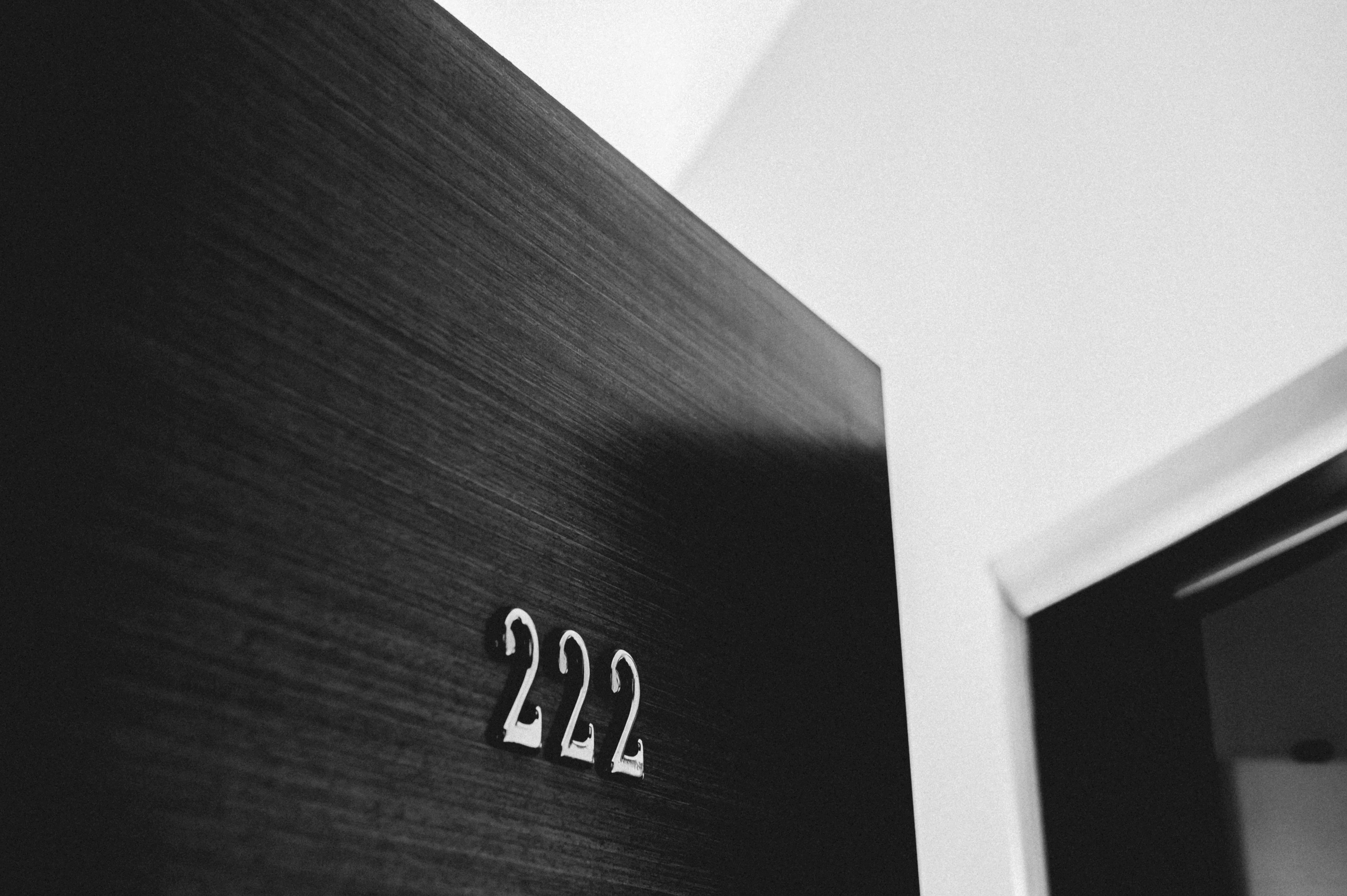 Медвежьи озера и любовь. Свадебная фотоистория. Свадебный и семейный фотограф Виктория Носачёва. Щелково, Москва и МО