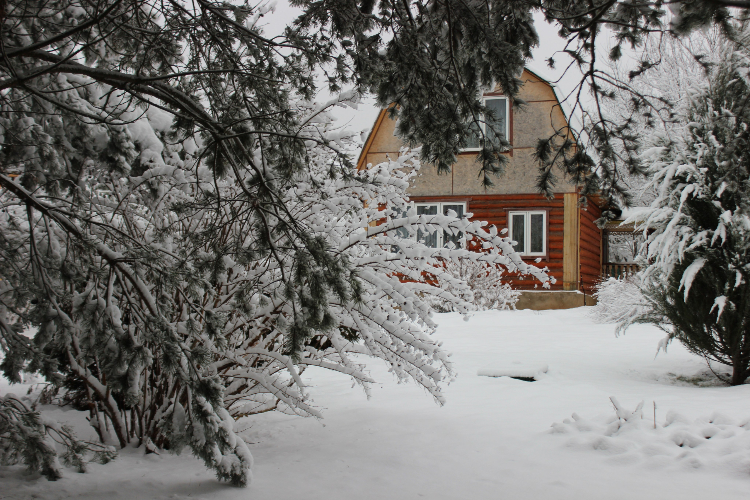 Оздоровительный комплекс Шалово-парк Серебряные ключи