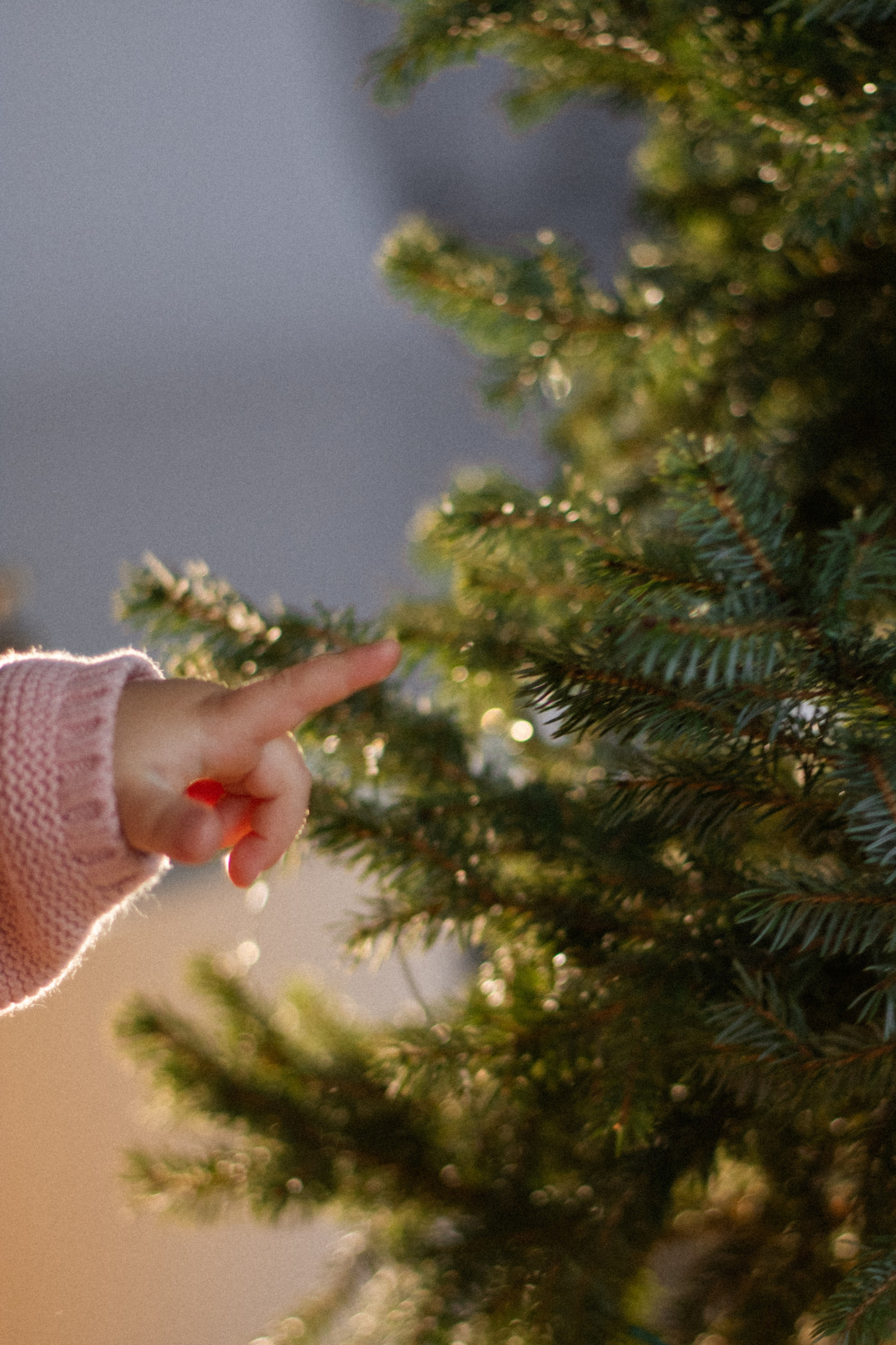 Daria + Arya. Lusy Redina | Семейный Фотограф | Волгоград