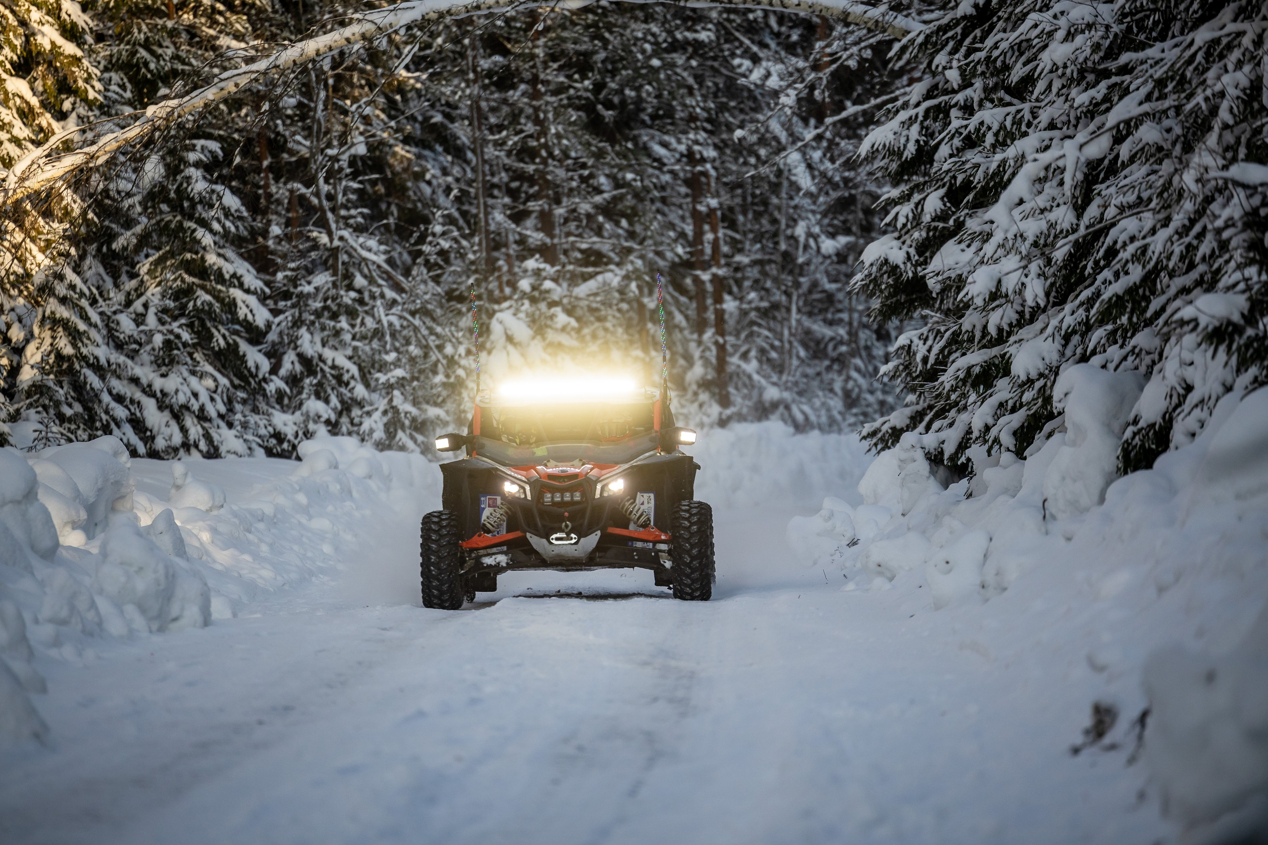 Ралли СеверныйЛес