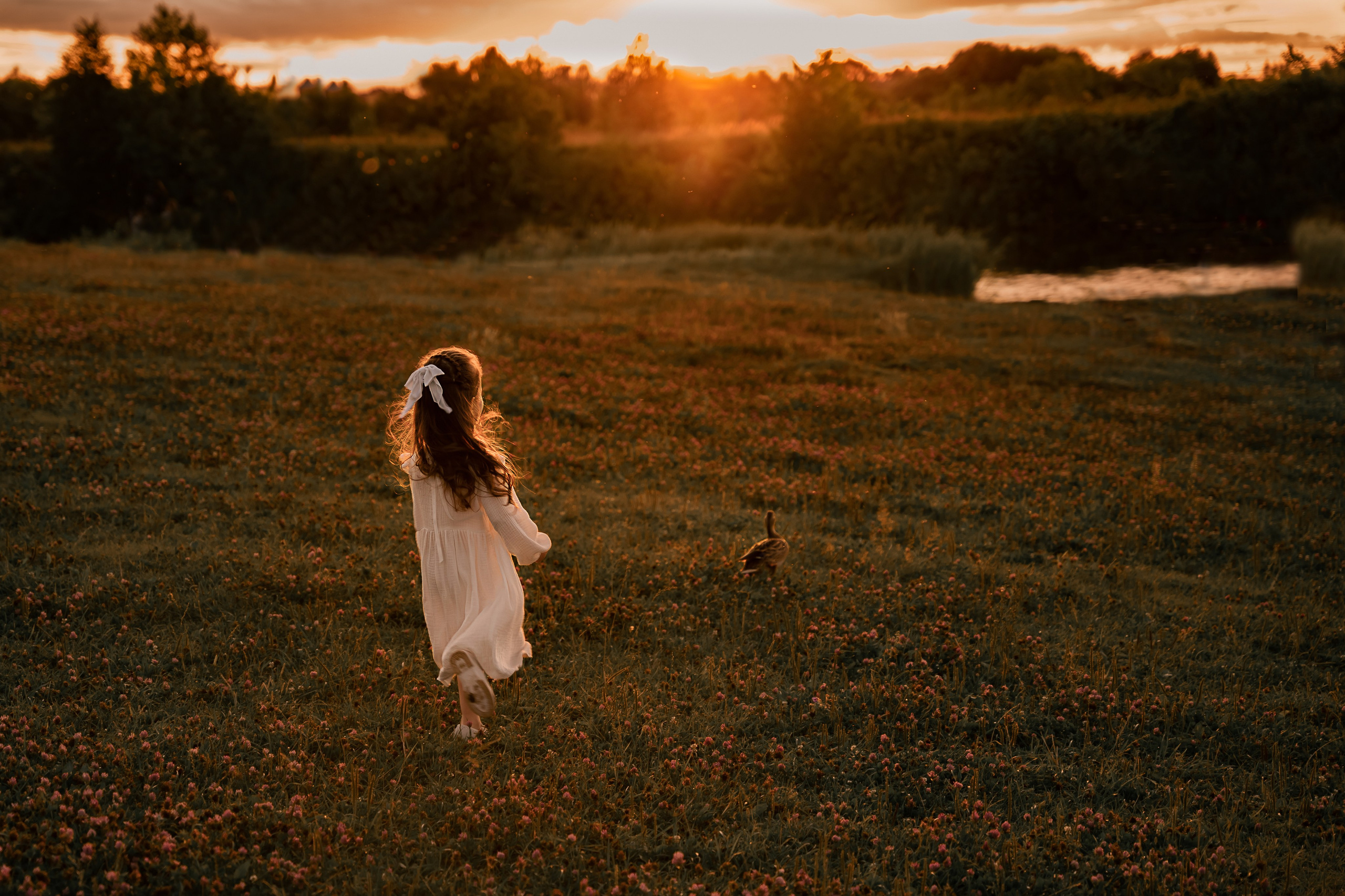 Семья закат улыбки смех