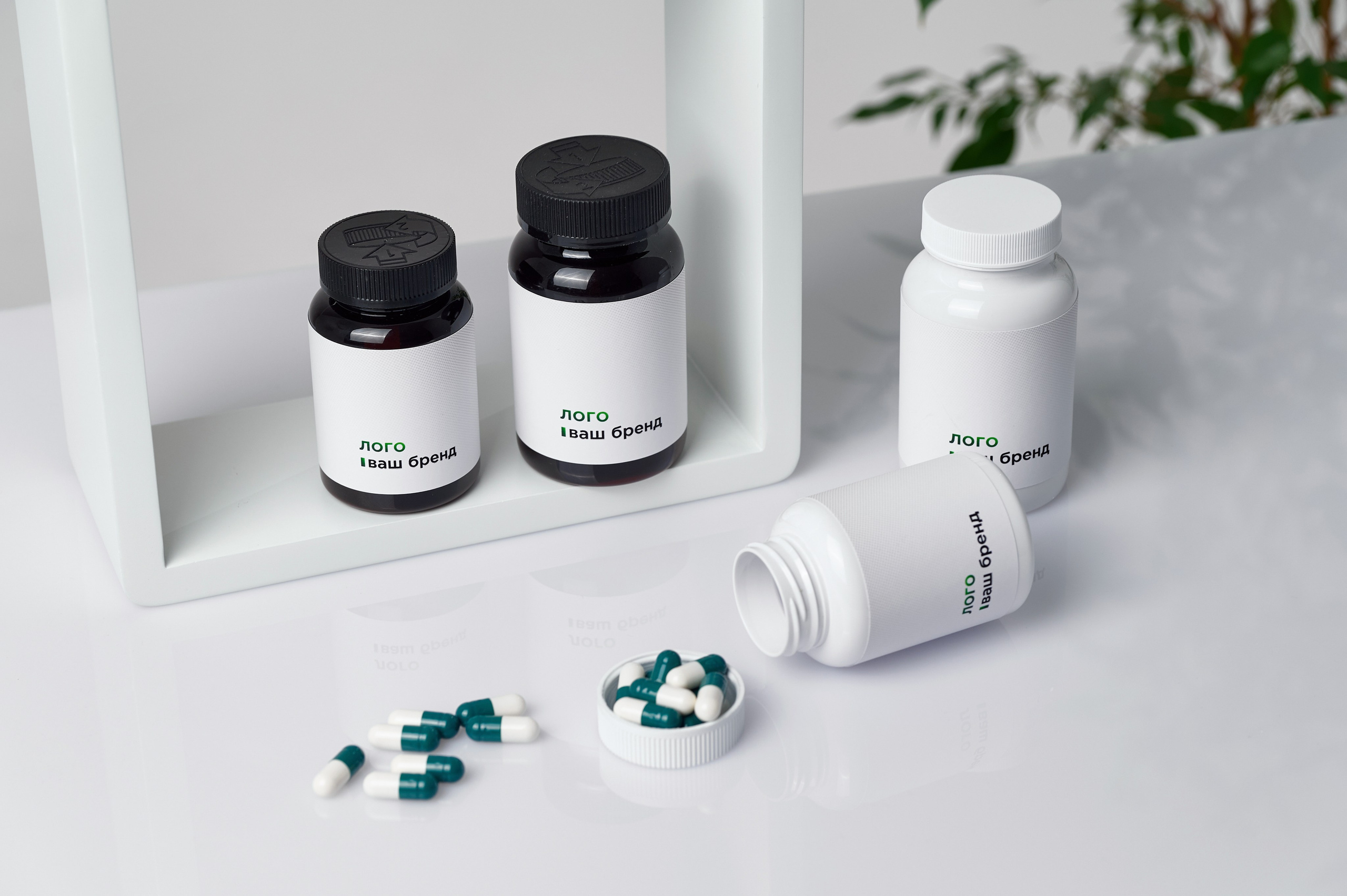 Бады дизайн. Фотограф Опыт Качество Скорость Горный Алтай Барнаул