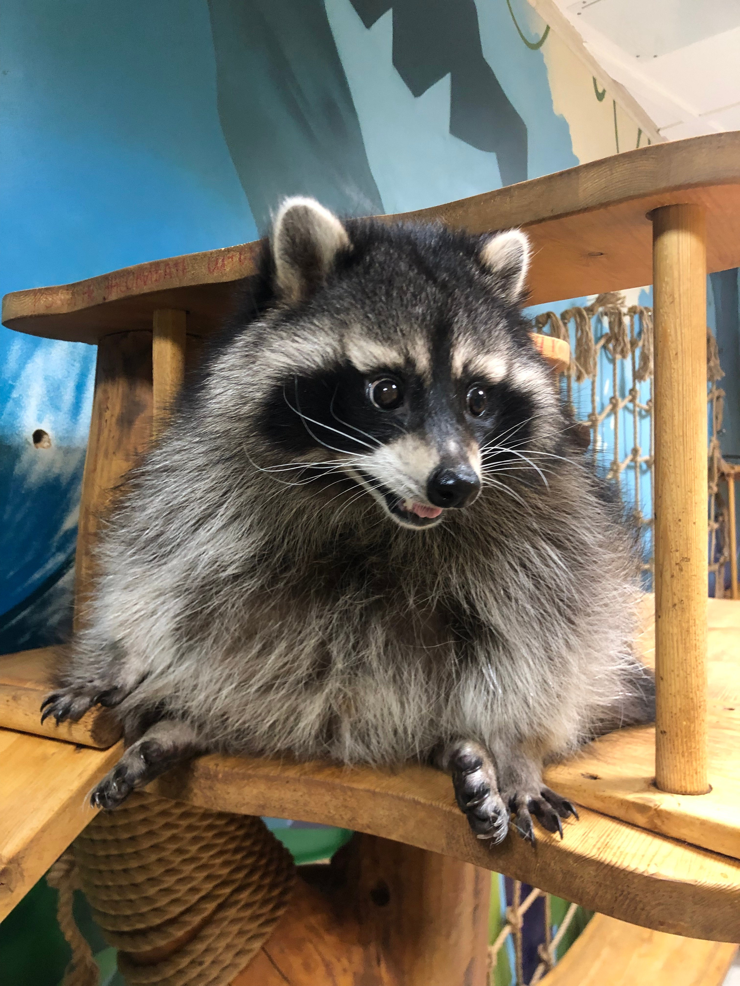 Ноябрь. Семейный, Свадебный фотограф СПБ Питер— Романова Екатерина