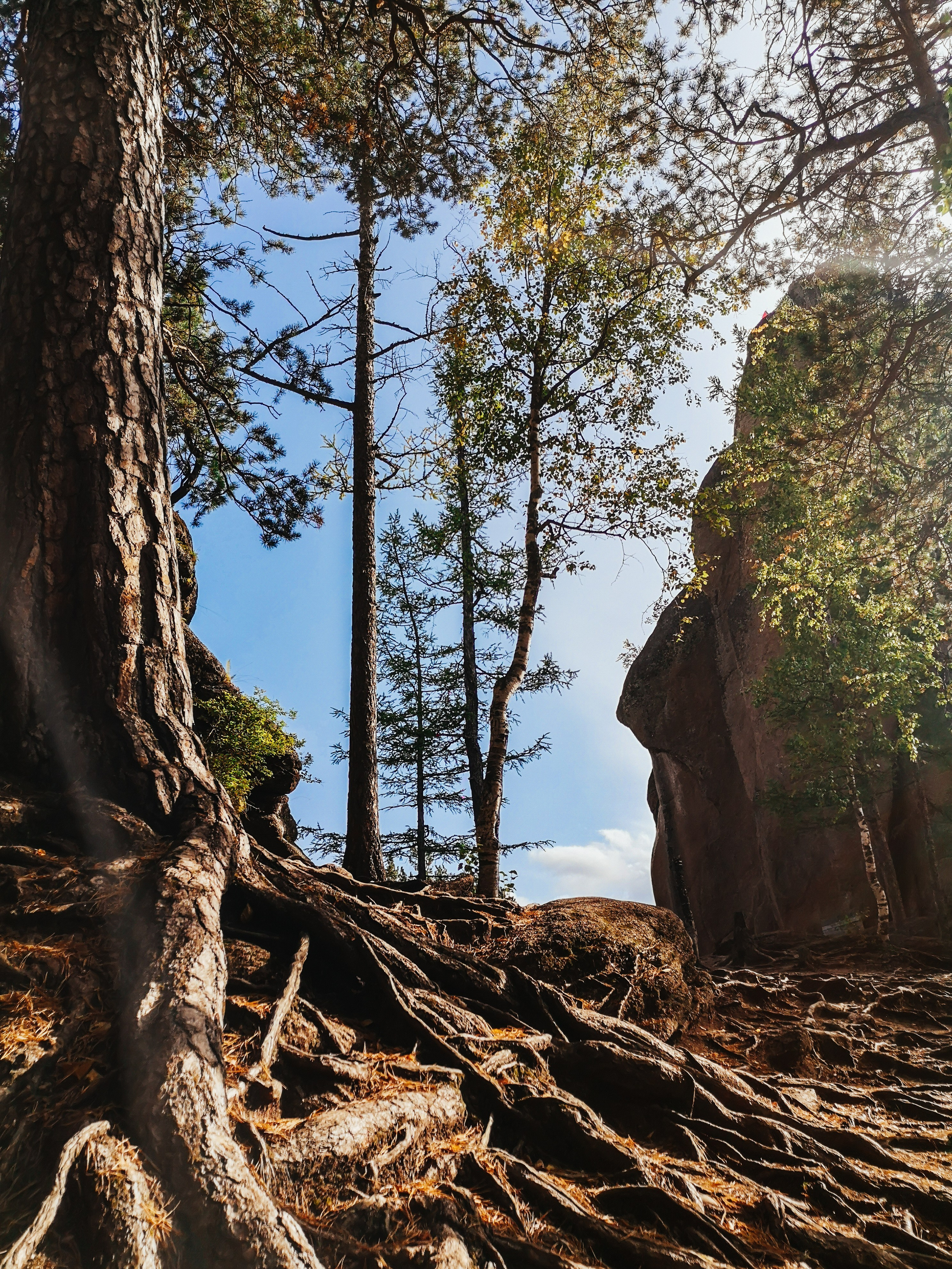 Красноярские столбы. Travel-фотограф Ирина Милинцова