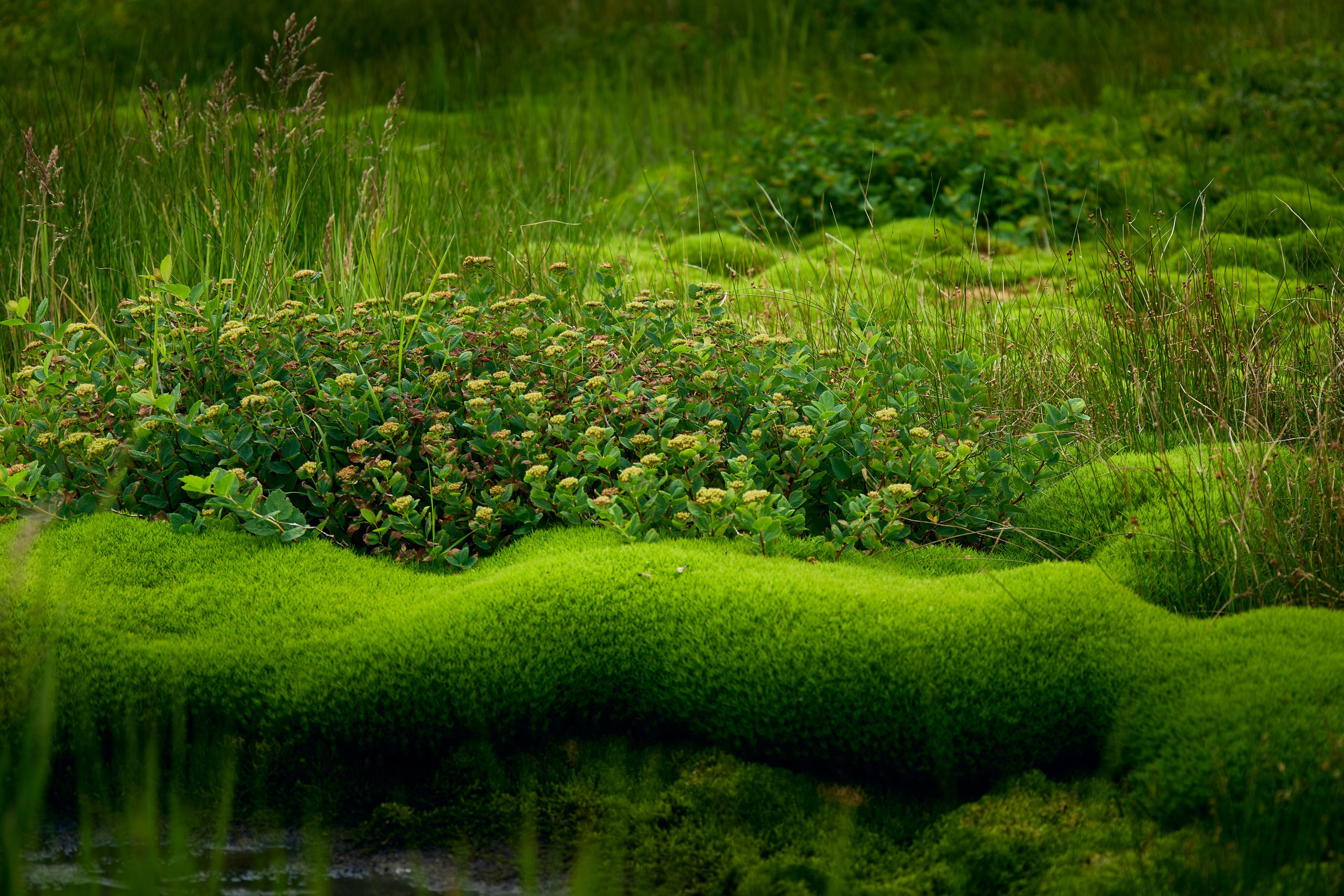 Камчатка. Travel-фотограф Ирина Милинцова