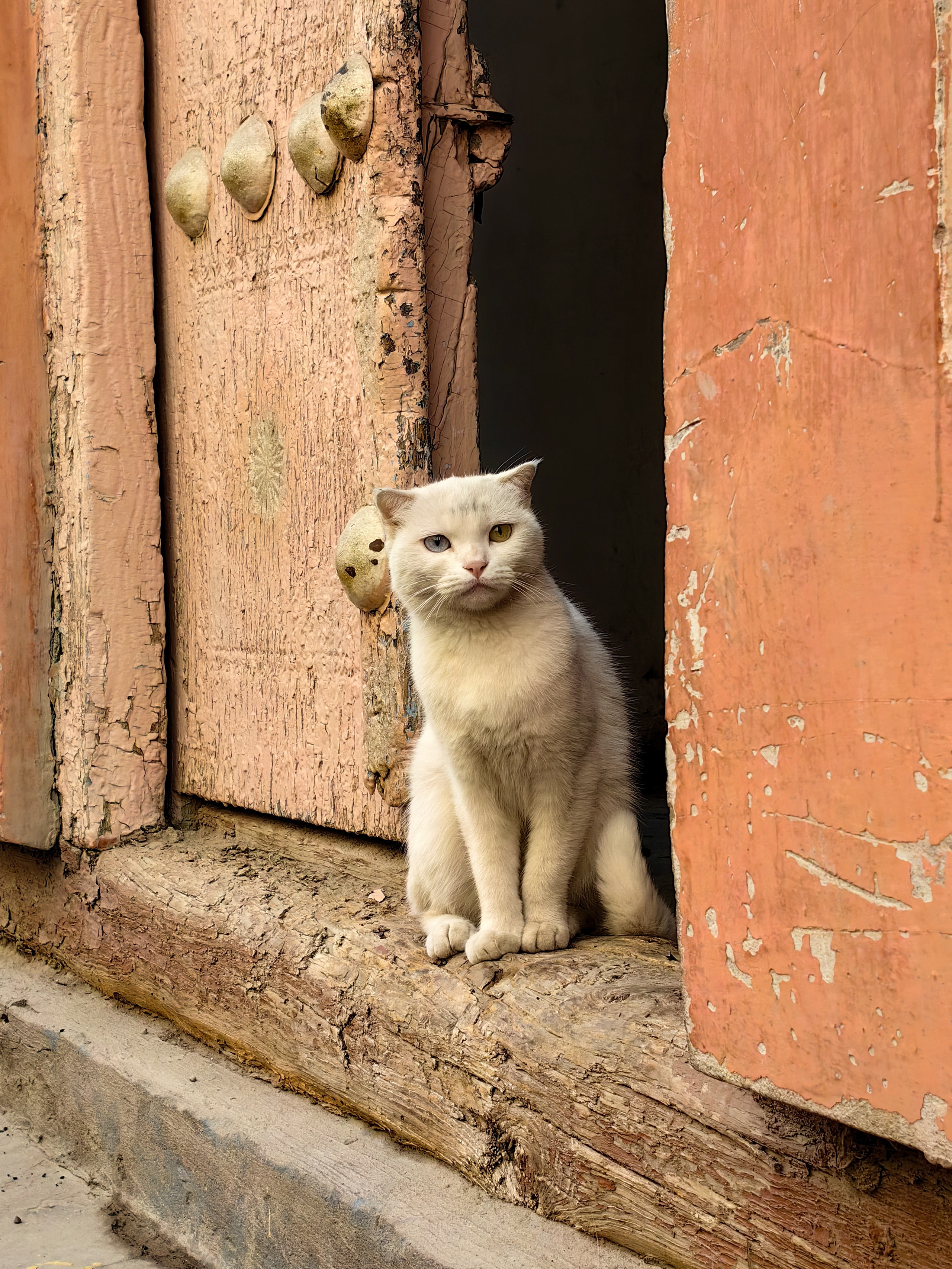 Узбекистан. Travel-фотограф Ирина Милинцова