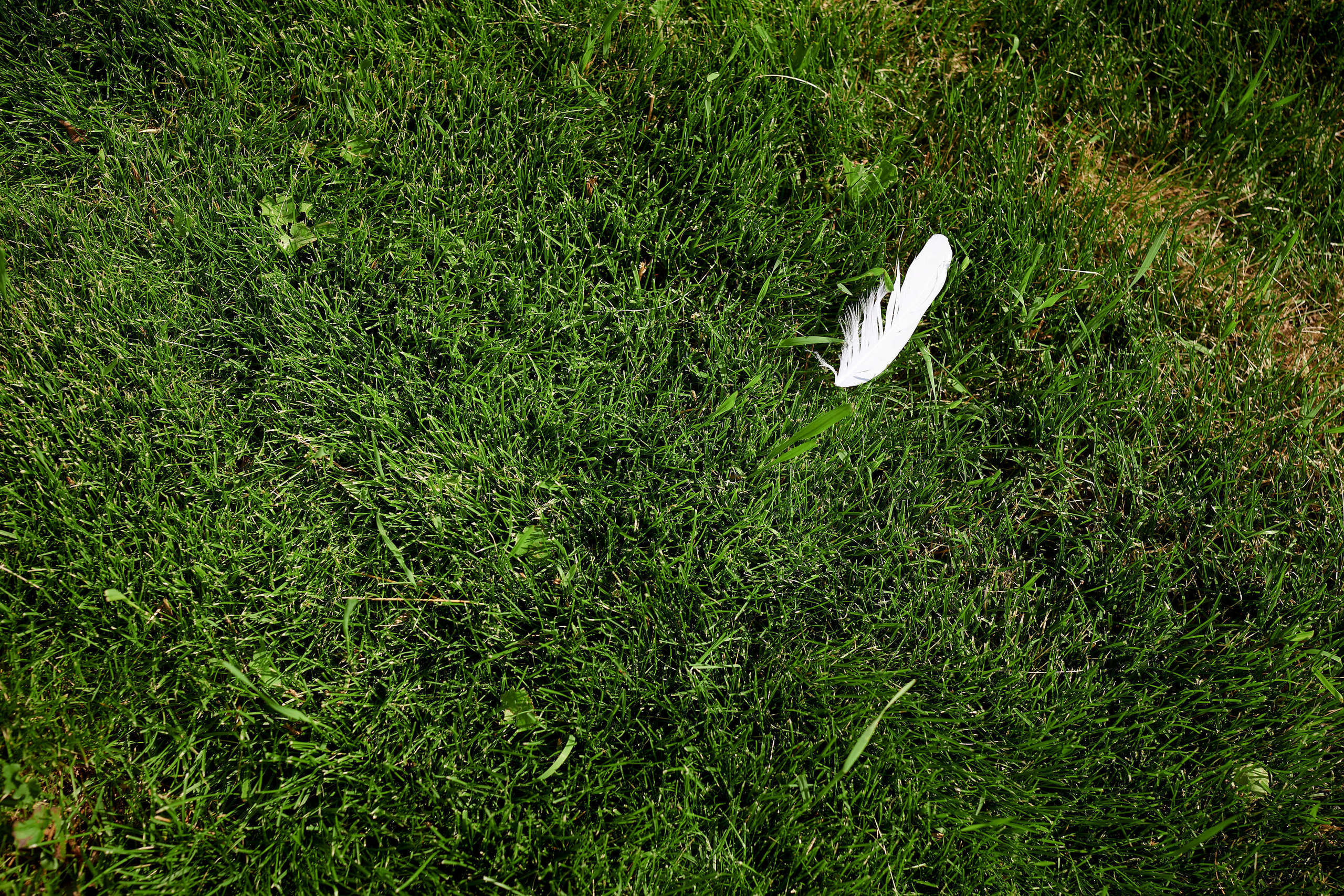 Белая вечеринка 2020