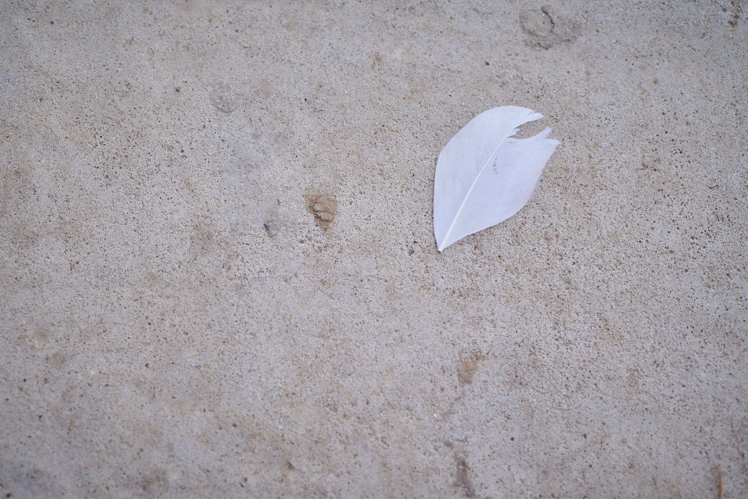 Белая вечеринка 2020