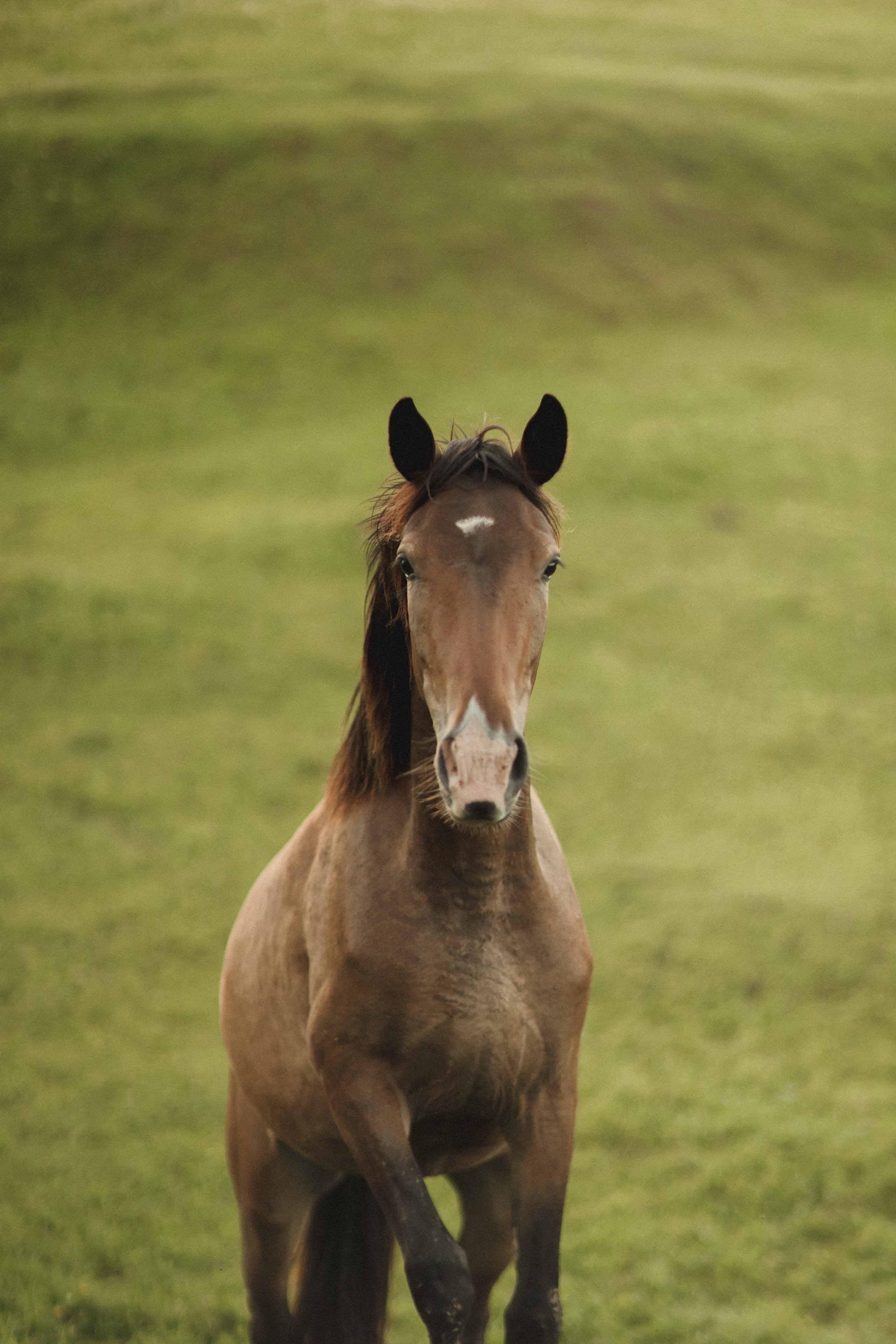 Ксения. Детский и семейный фотограф, съемка новорожденных Москва