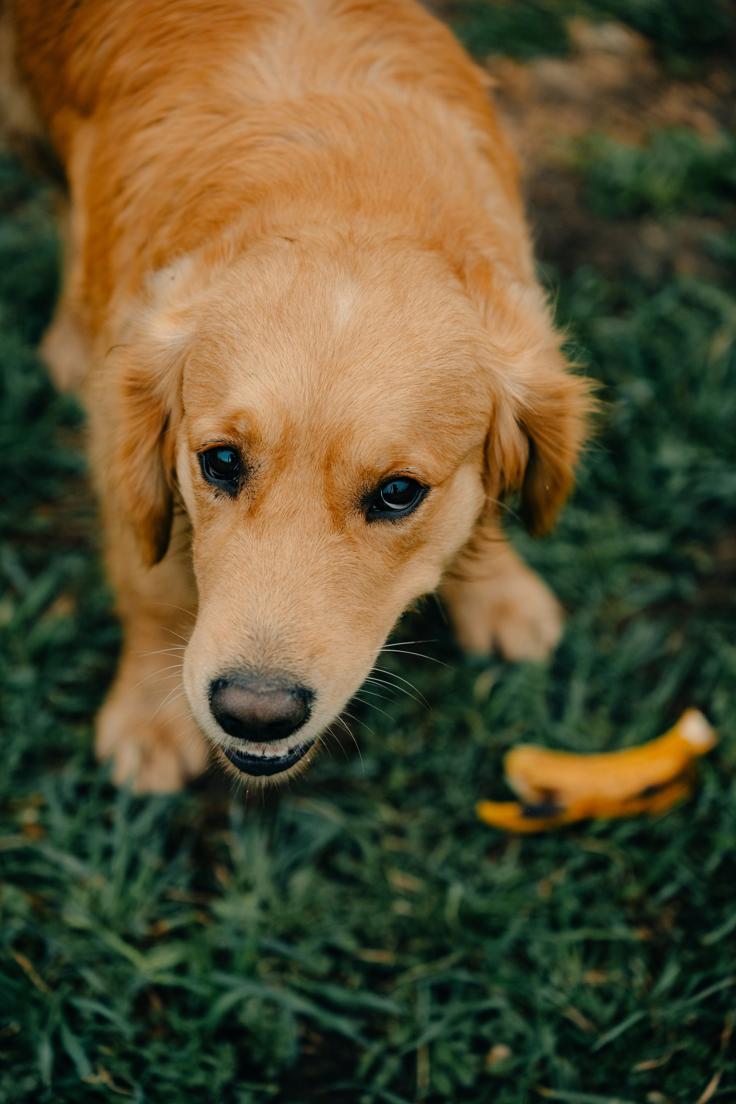 Зоопарк в моём багаже. Кошенкова Мария: портретный и репортажный фотограф. Санкт-Петербург