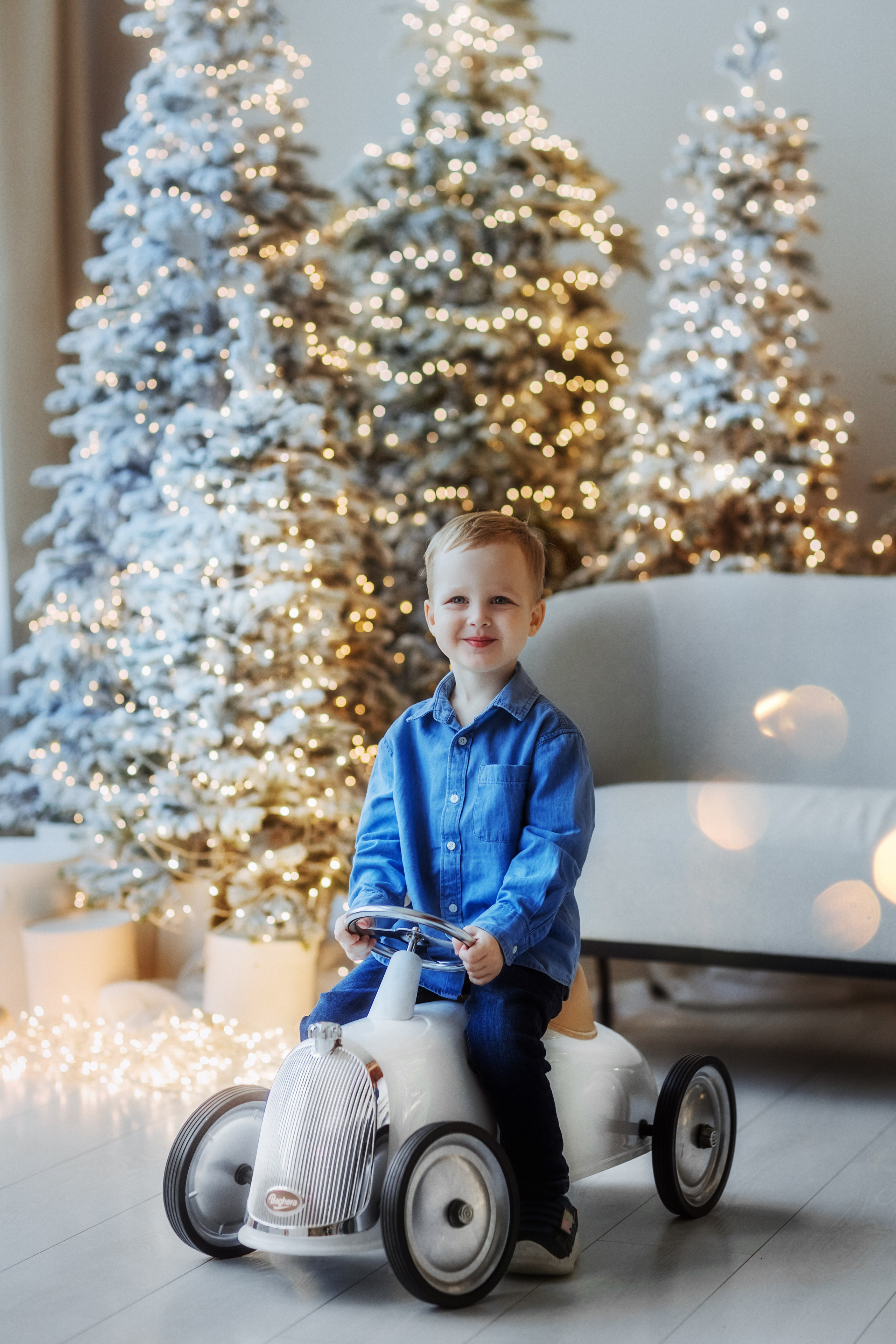 Новогодние. Фотографы в городе Волгограде — Людмила Агеева и Алексей Околелов