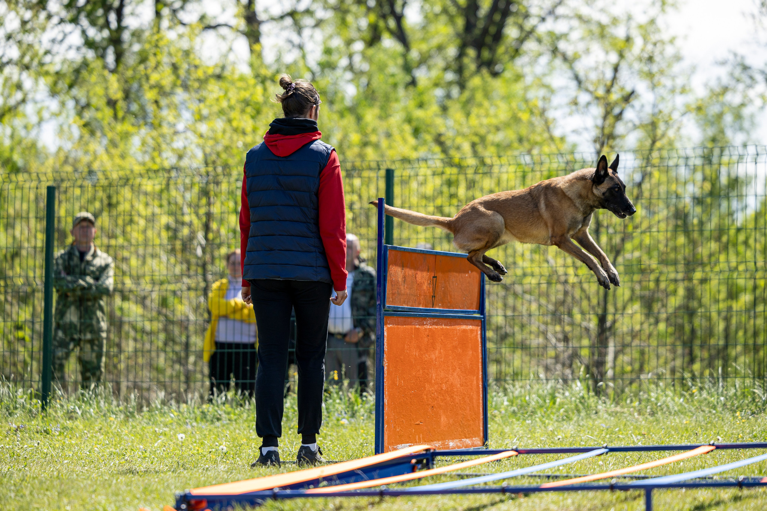 Испытания по мондьорингу в Нижнем Новгороде. Фотограф-анималист Анна Маринич