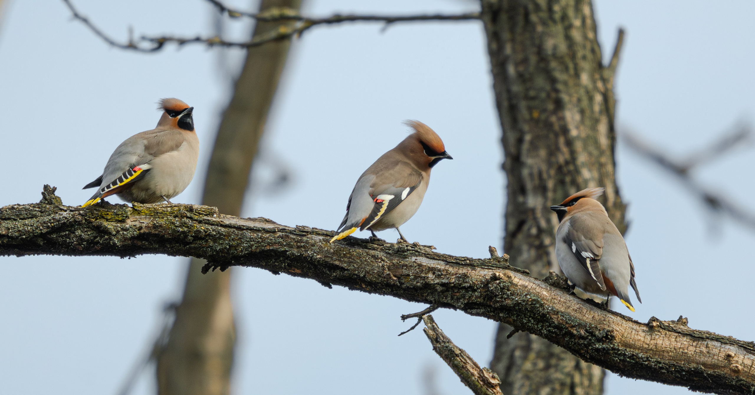 Окружение через объектив